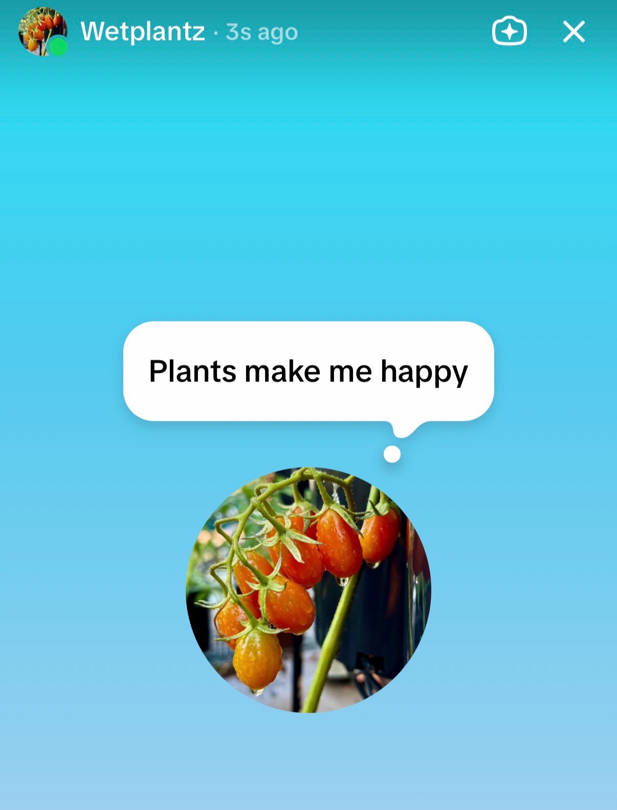 @Wetplantz