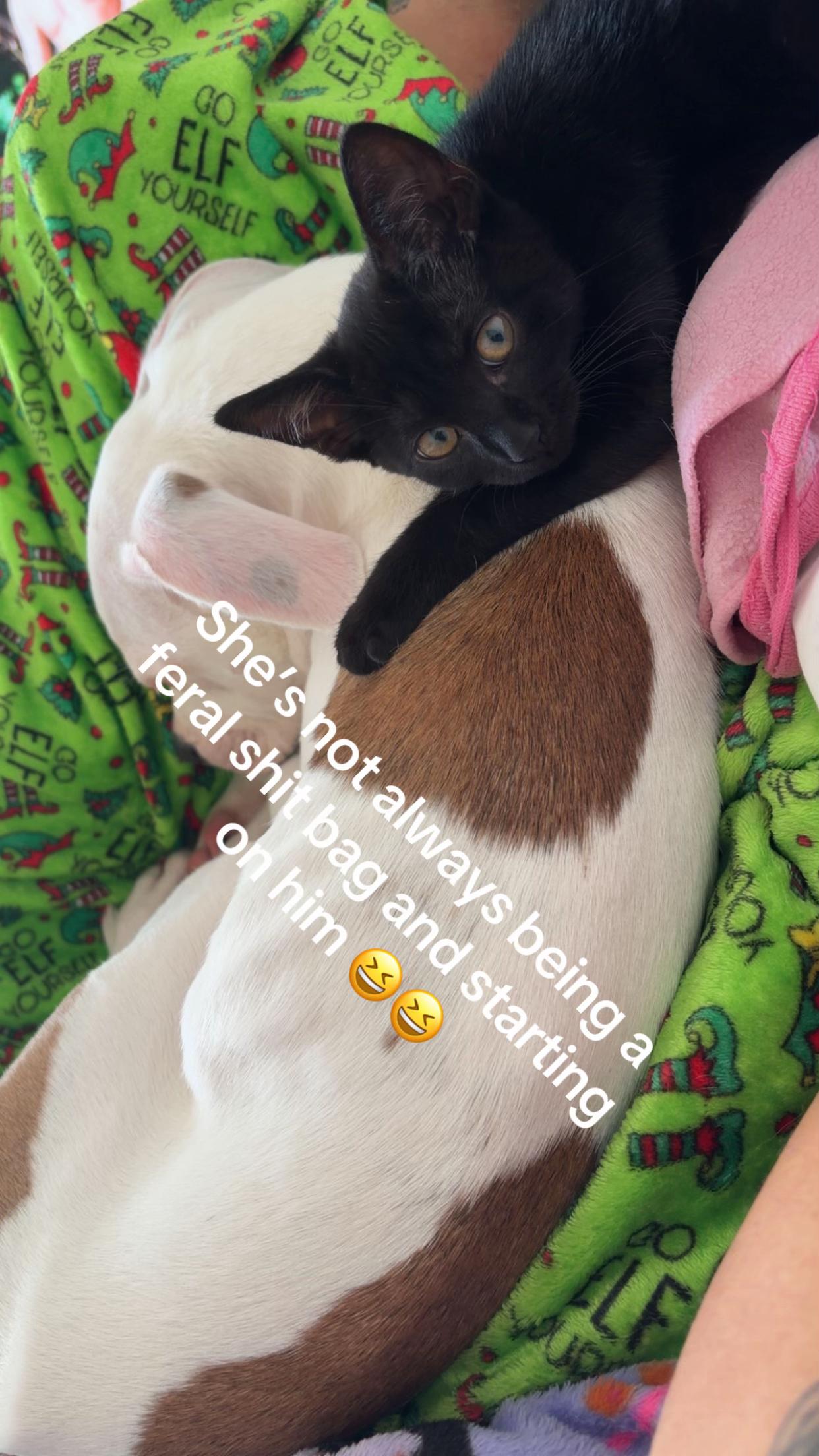 @Inkedmum