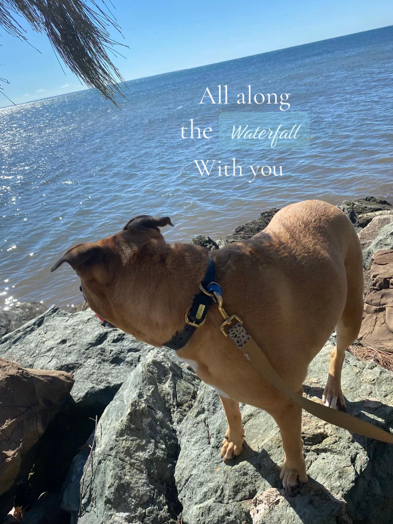 @Rocco.n.Chocco