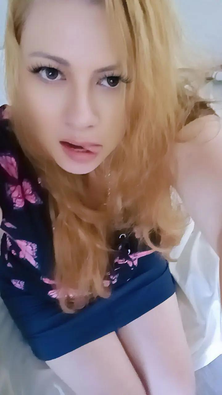 @@maylin🦊🦊🦊💯❤️🤍 🥂🍾⚓🎄⛪💃