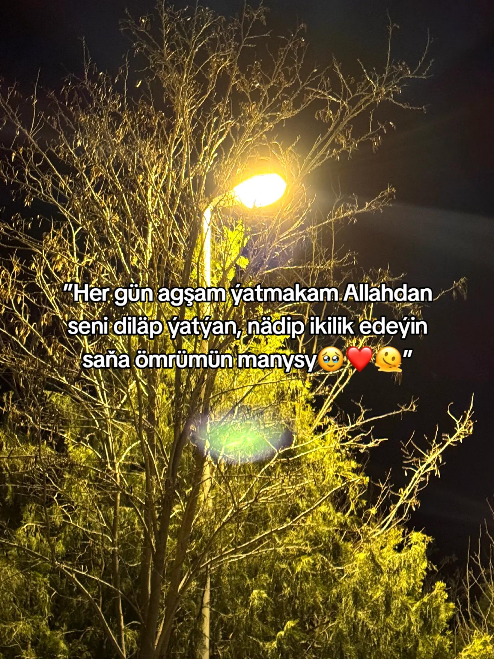 @𝙂𝙖𝙯𝙖𝙠𝙊𝙁𝙁🦈