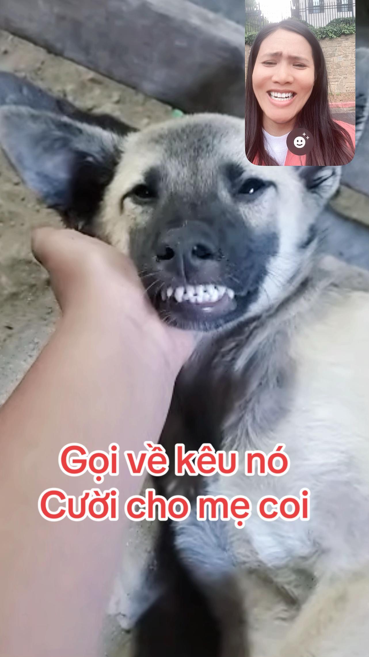 @Đi & Go