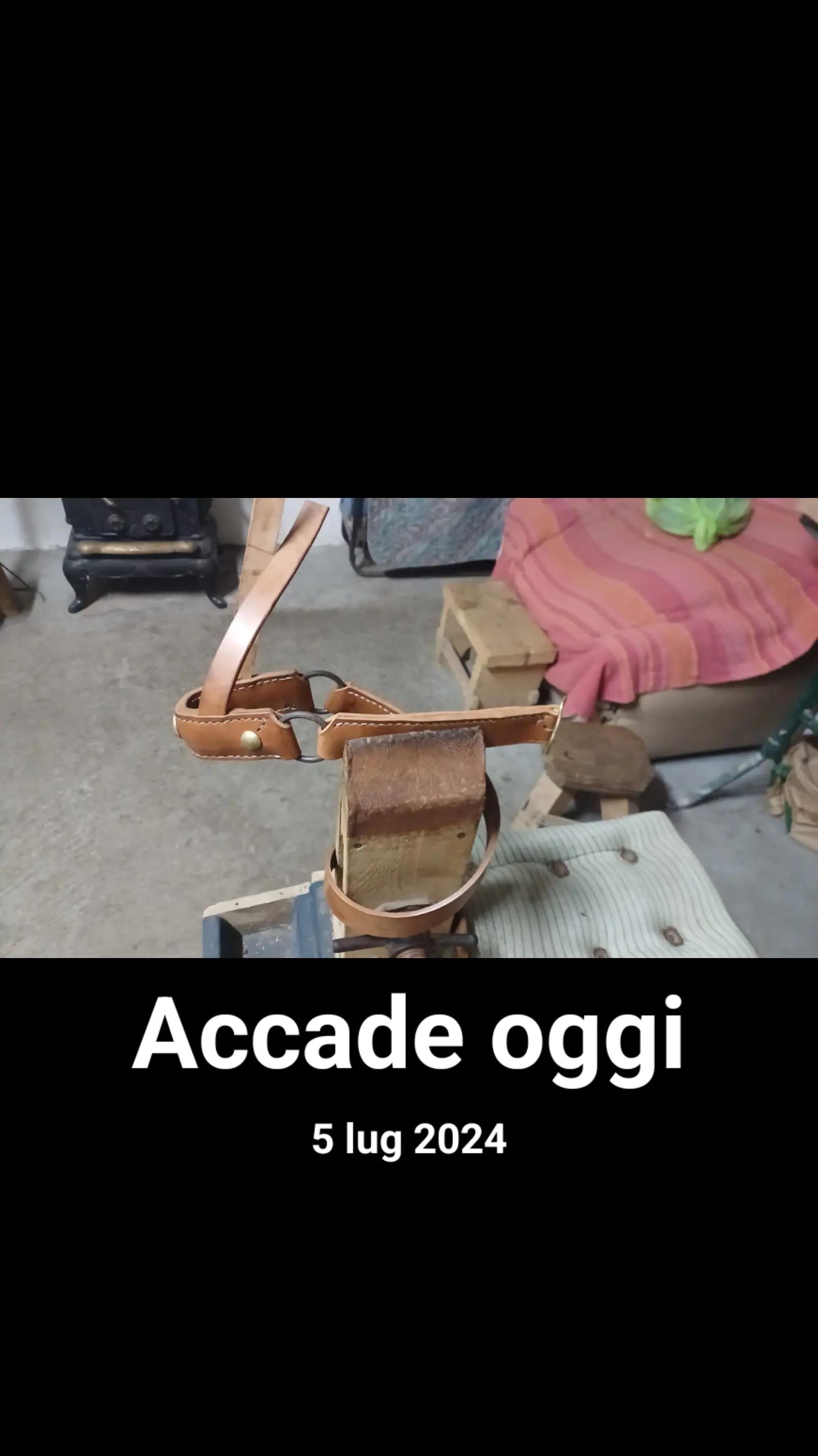 @Gio Mansi