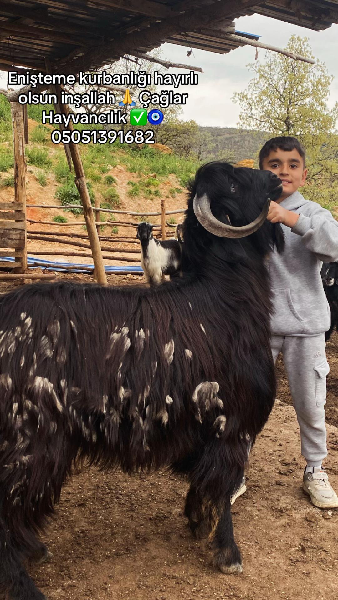 @Metin Melisa &ccedil;ağlar