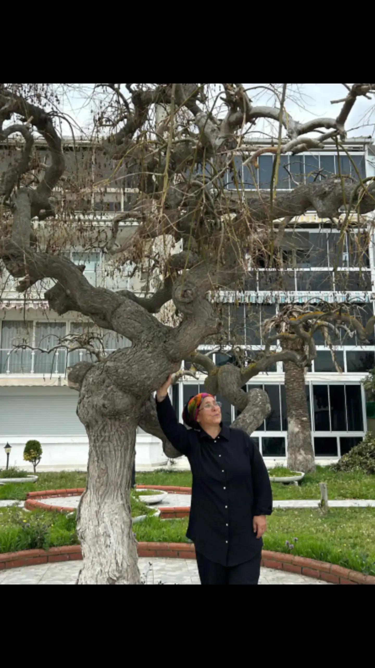 @yaprak dökümü