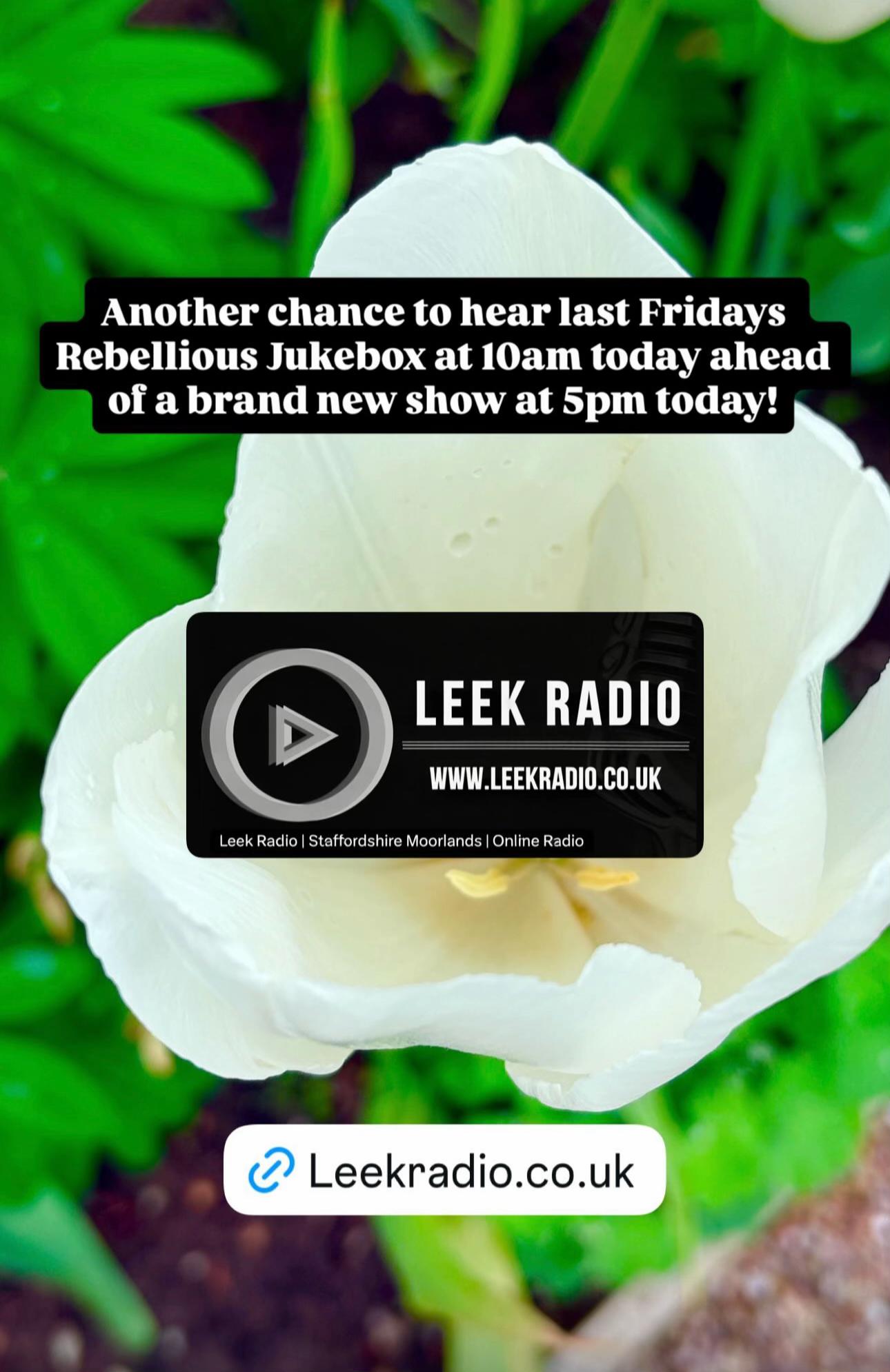 @Leek Radio CIC