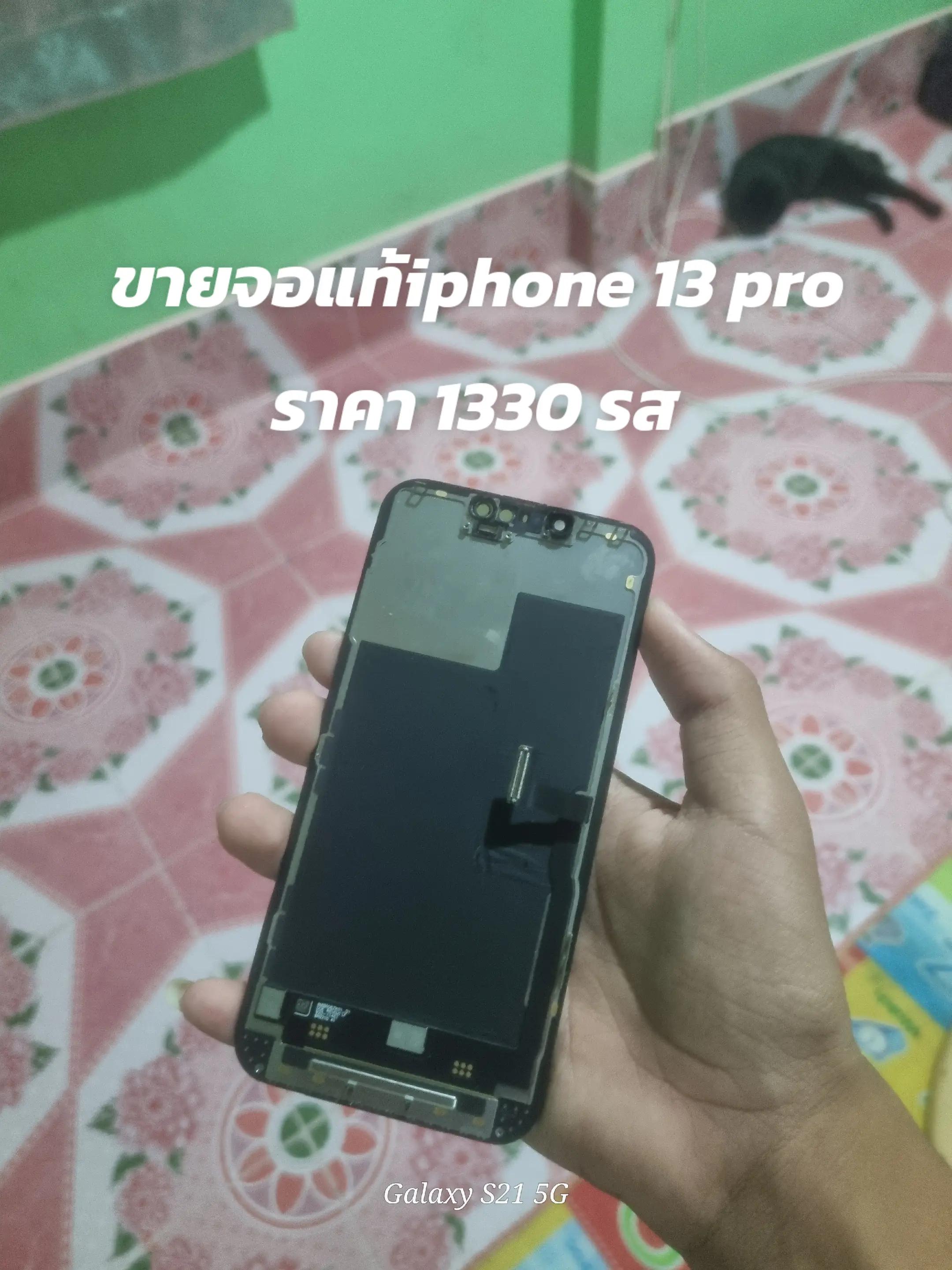 @NEWTON_iT🇹🇭