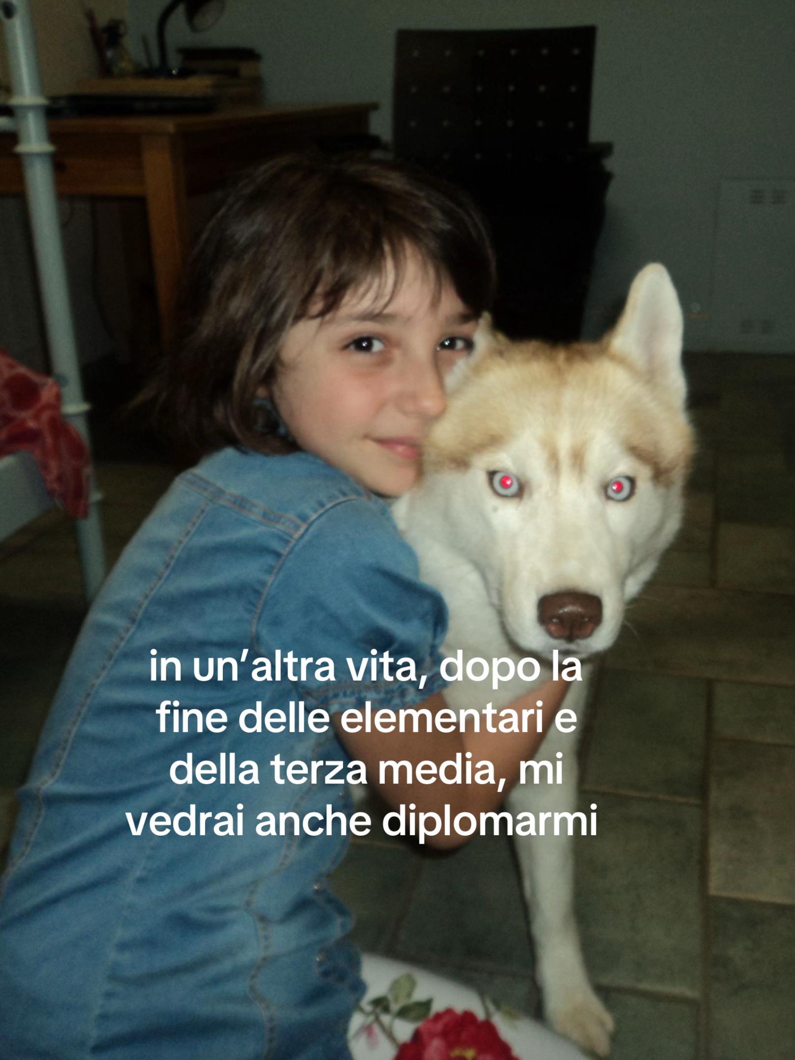 @laulau