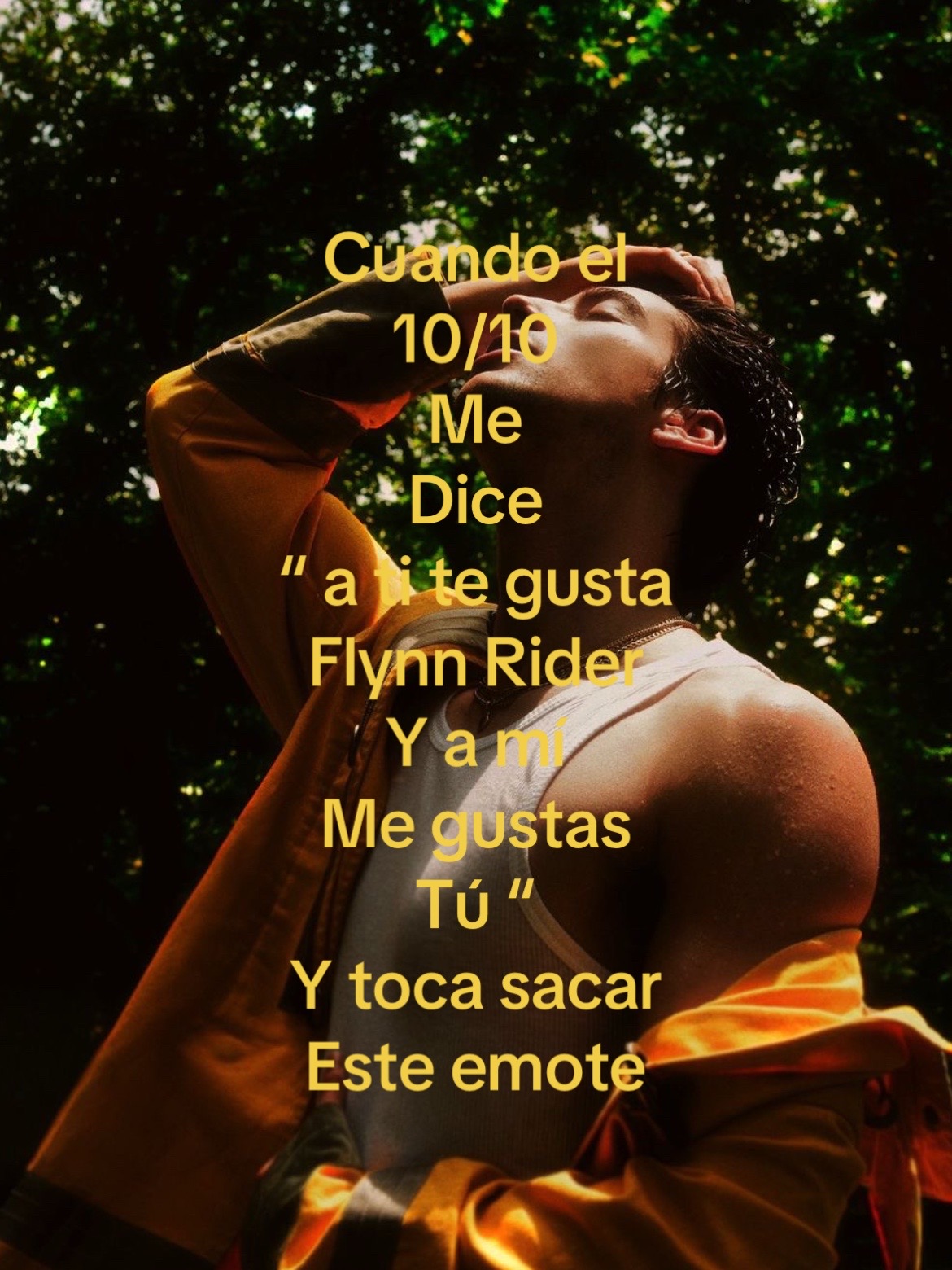 @DBMSY
