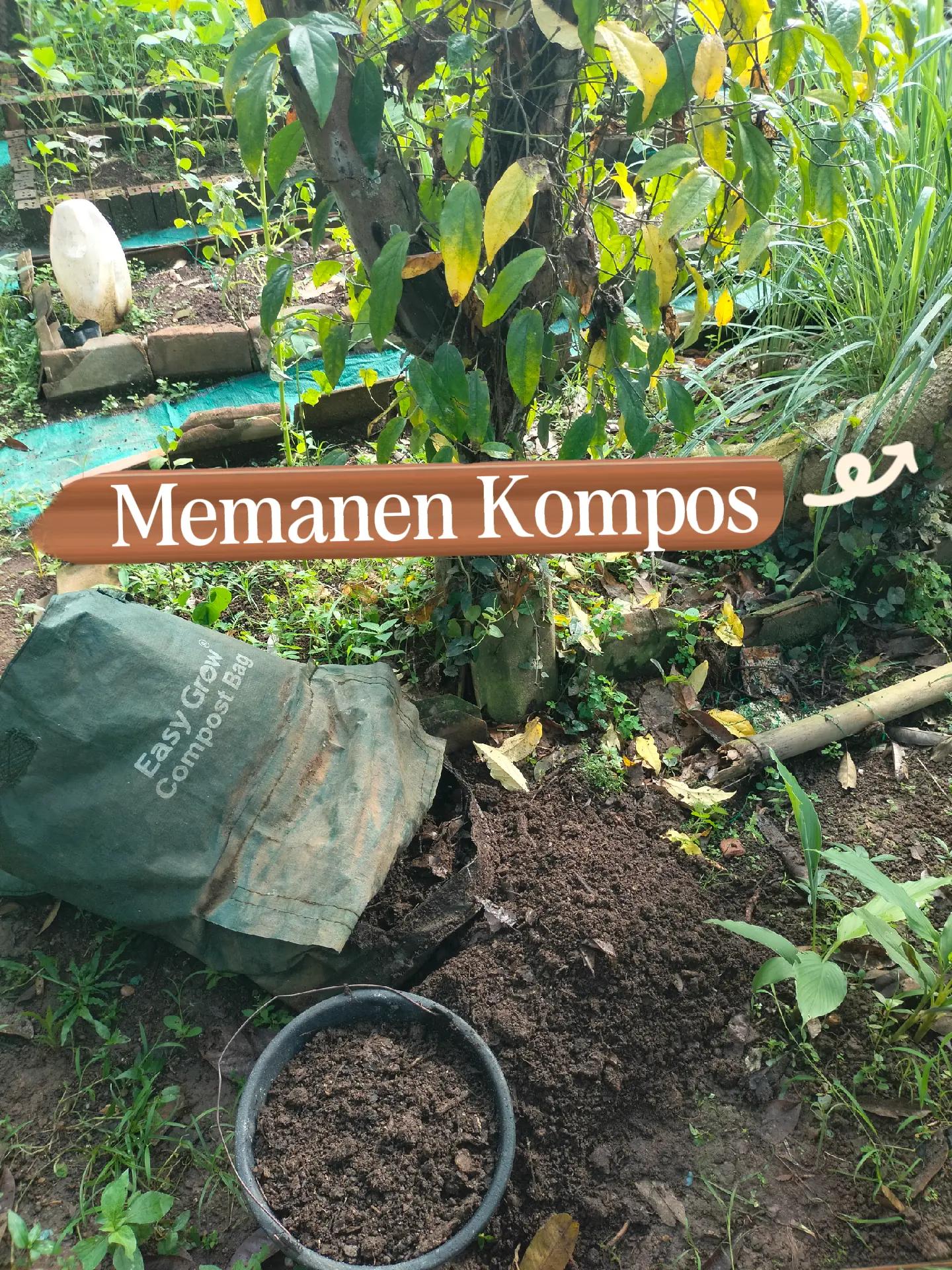 @mahmudah.garden