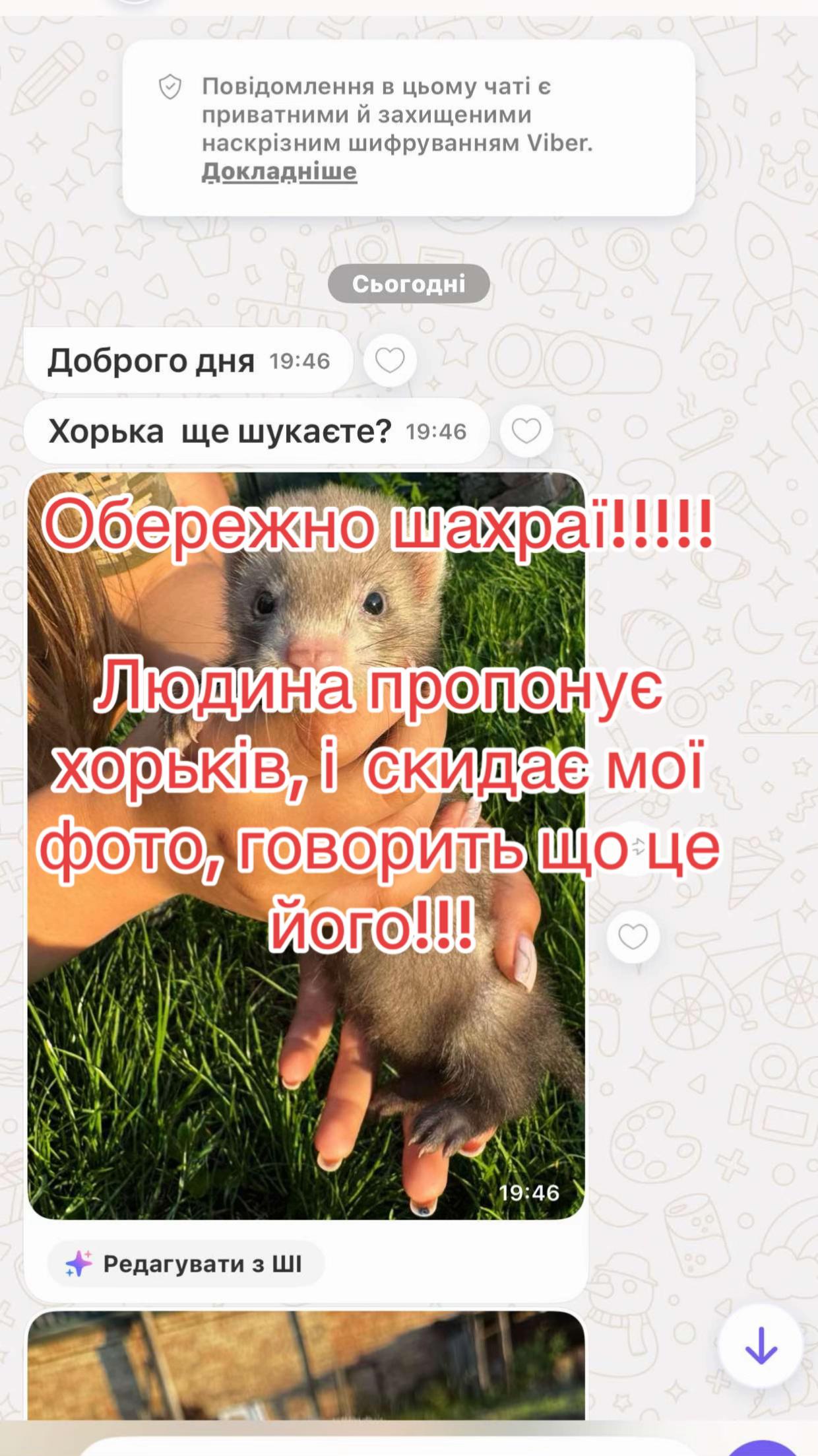 @🦦 Хорьки Київ 🇺🇦
