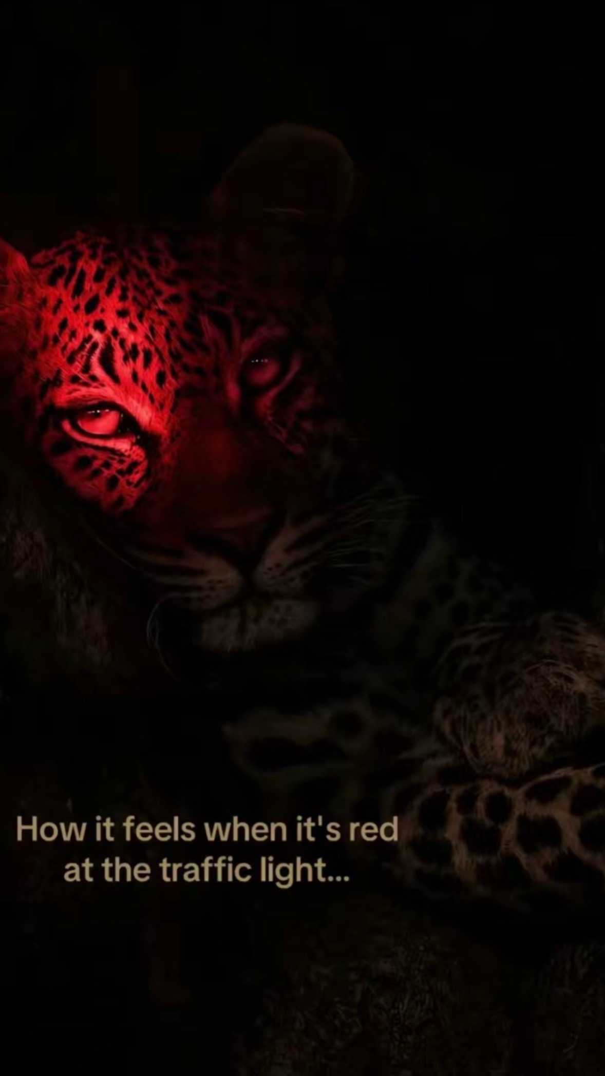@depth
