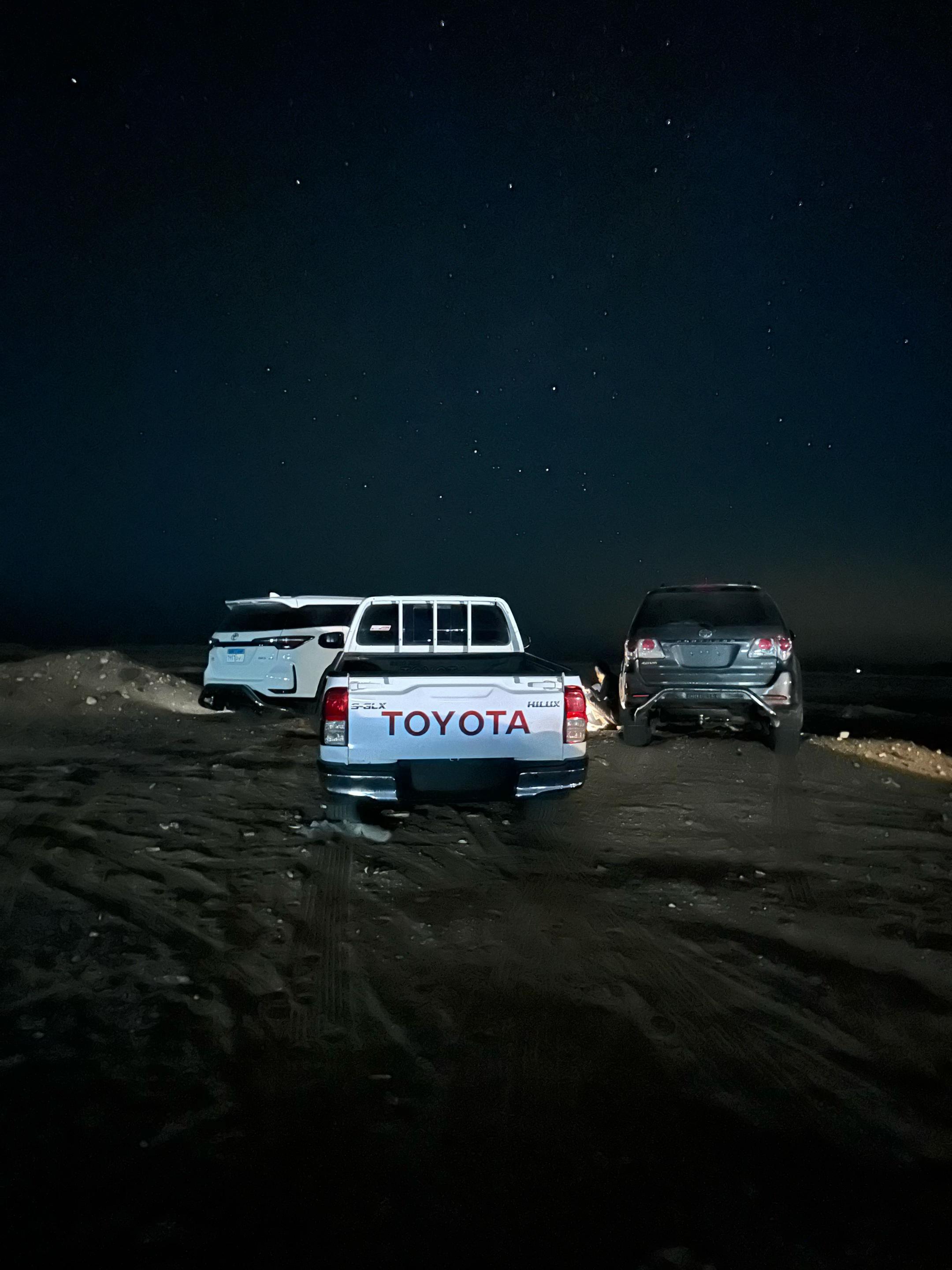@محمدالاحيوي