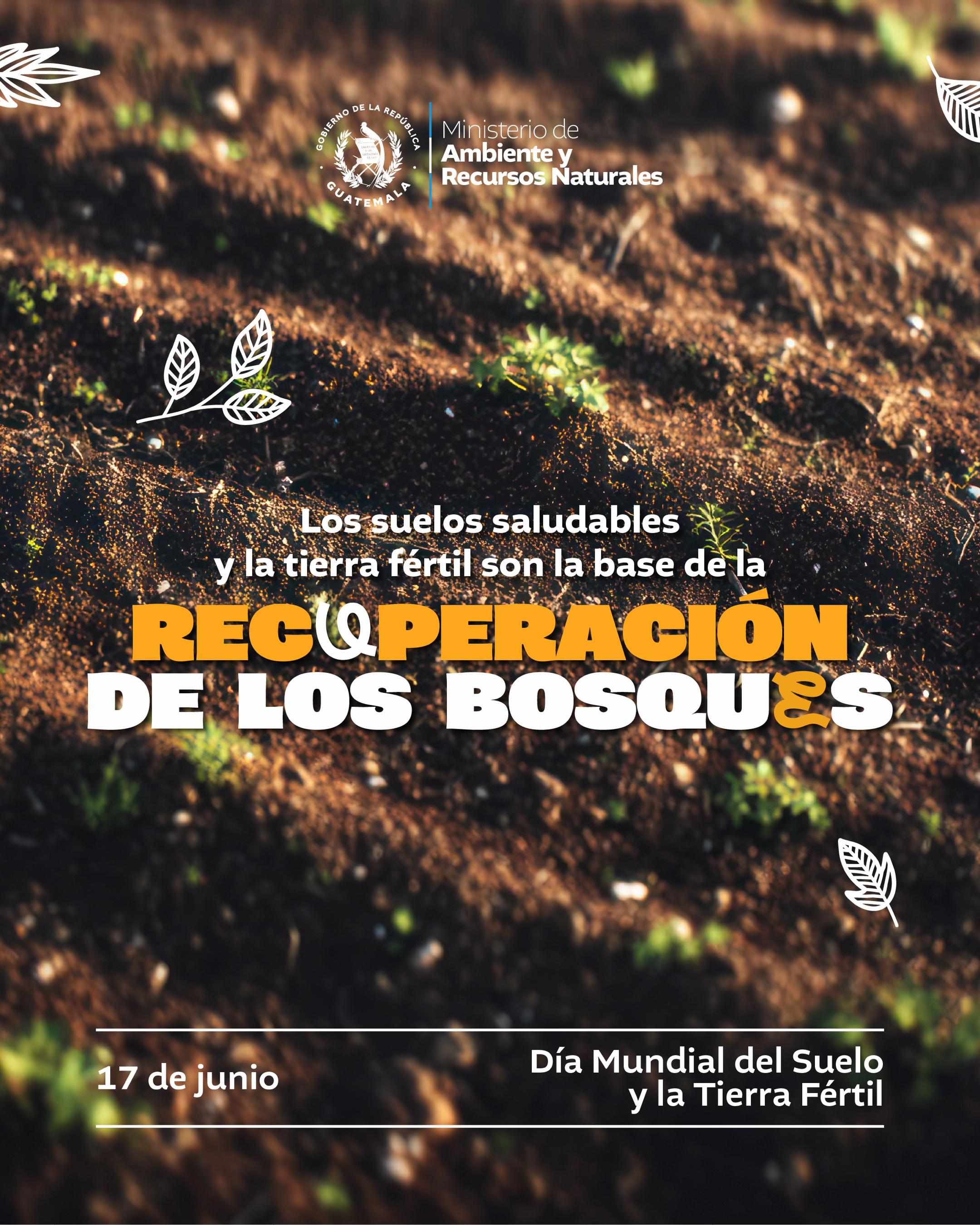 @Ministerio de Ambiente GT