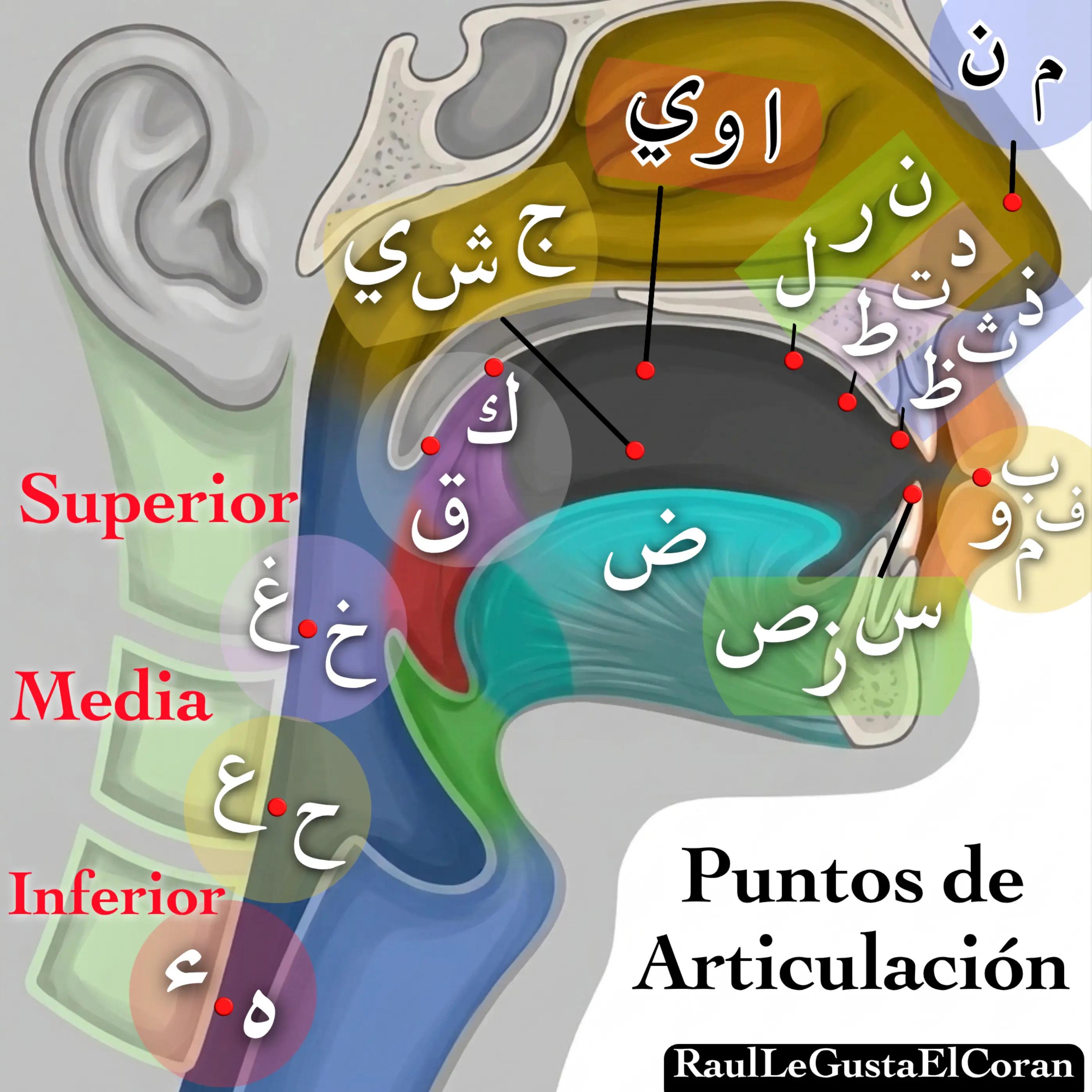 @Ra&uacute;lLeGustaElCoran