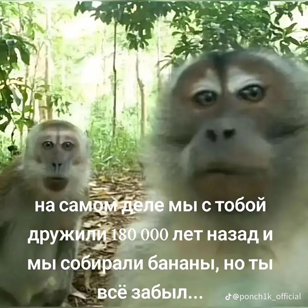 @Motya_Radar