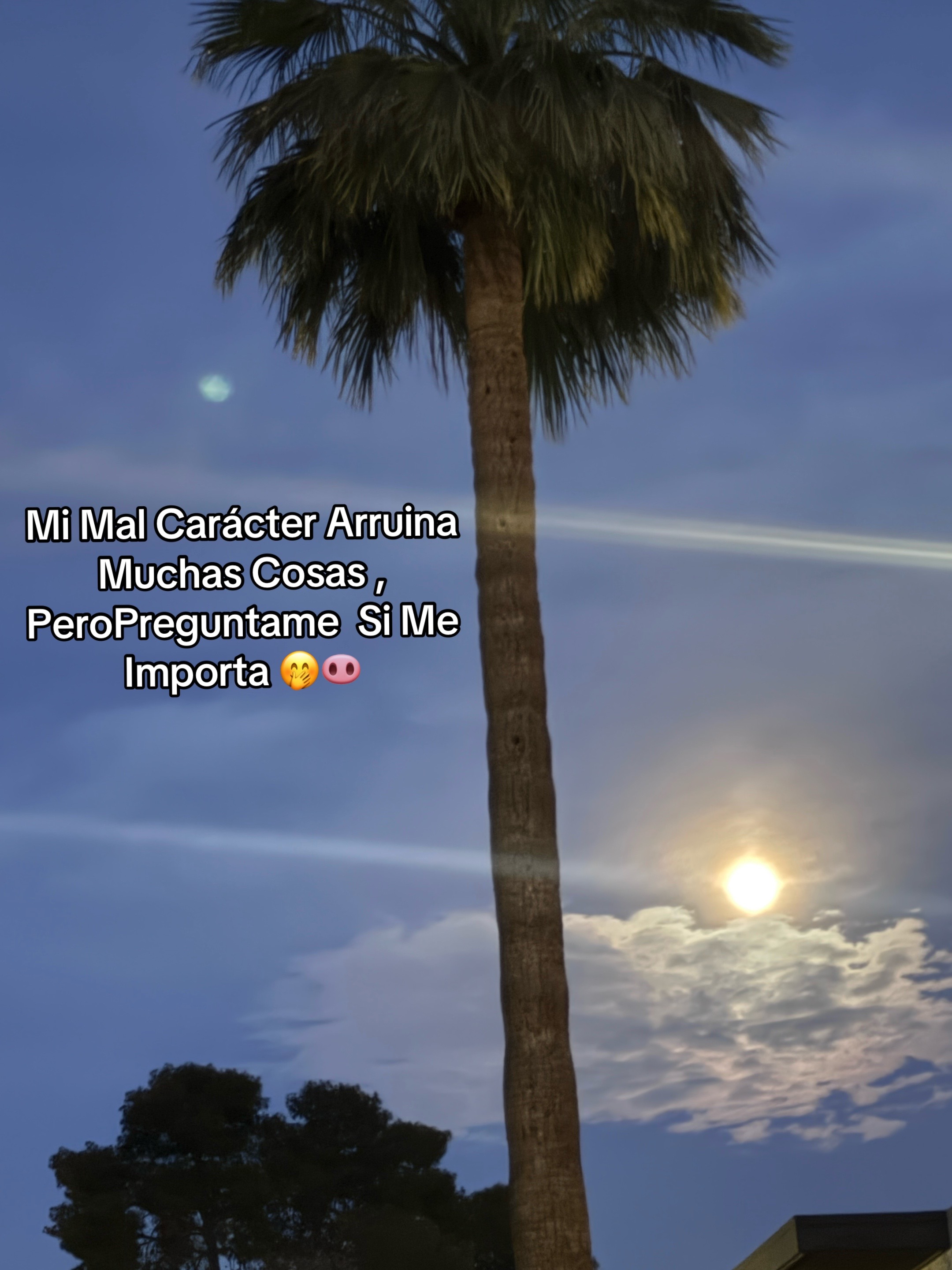 @Gina Paola Torres621