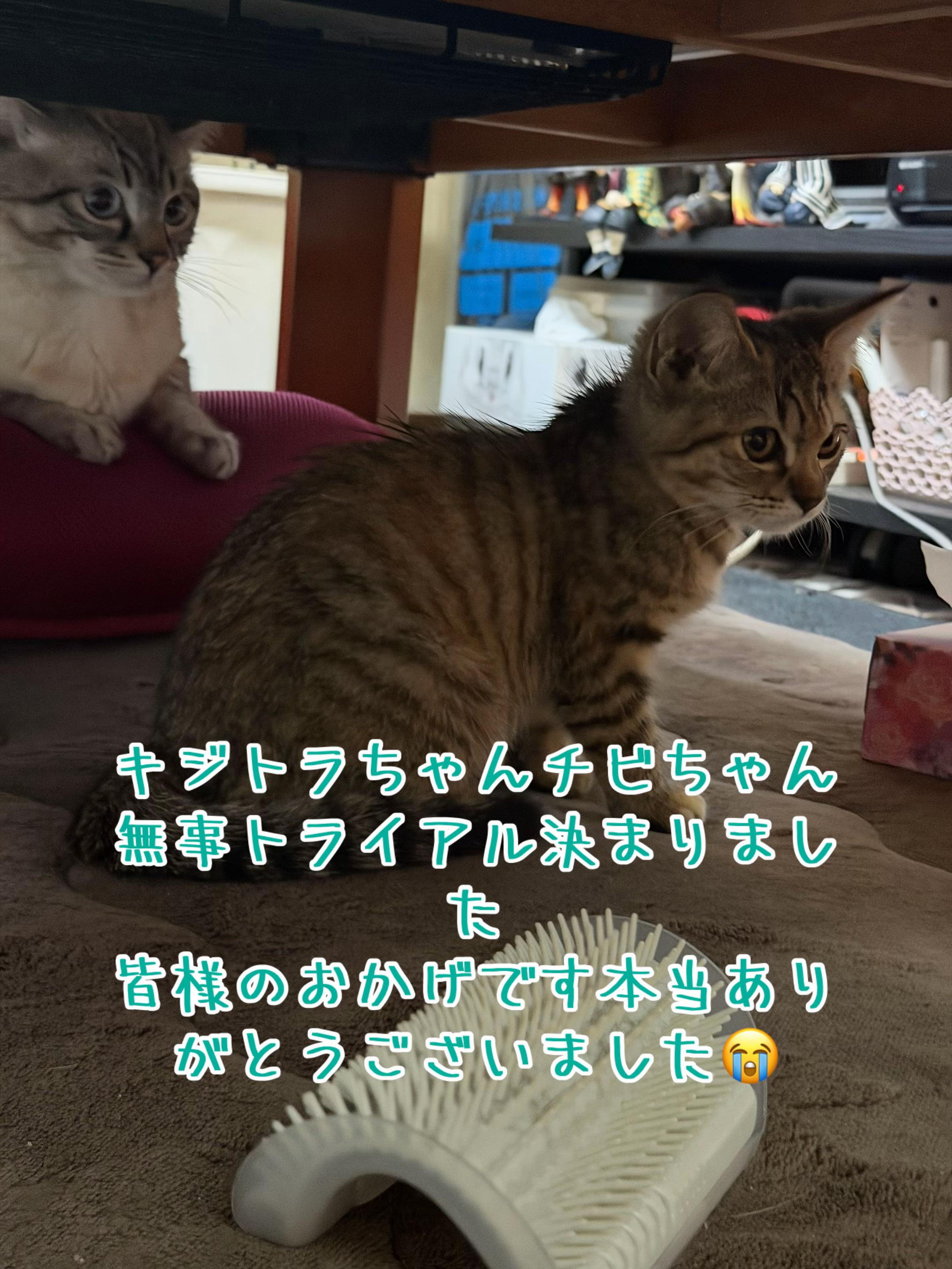 @ð¥é»æŸ€æ£å¿ð¥