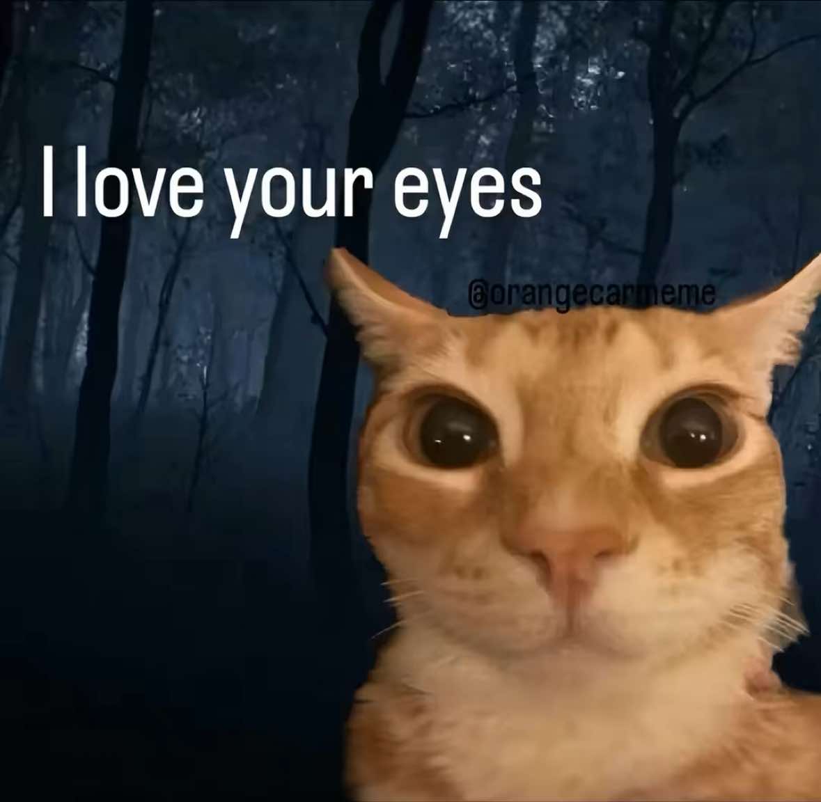 @thoughtswithred