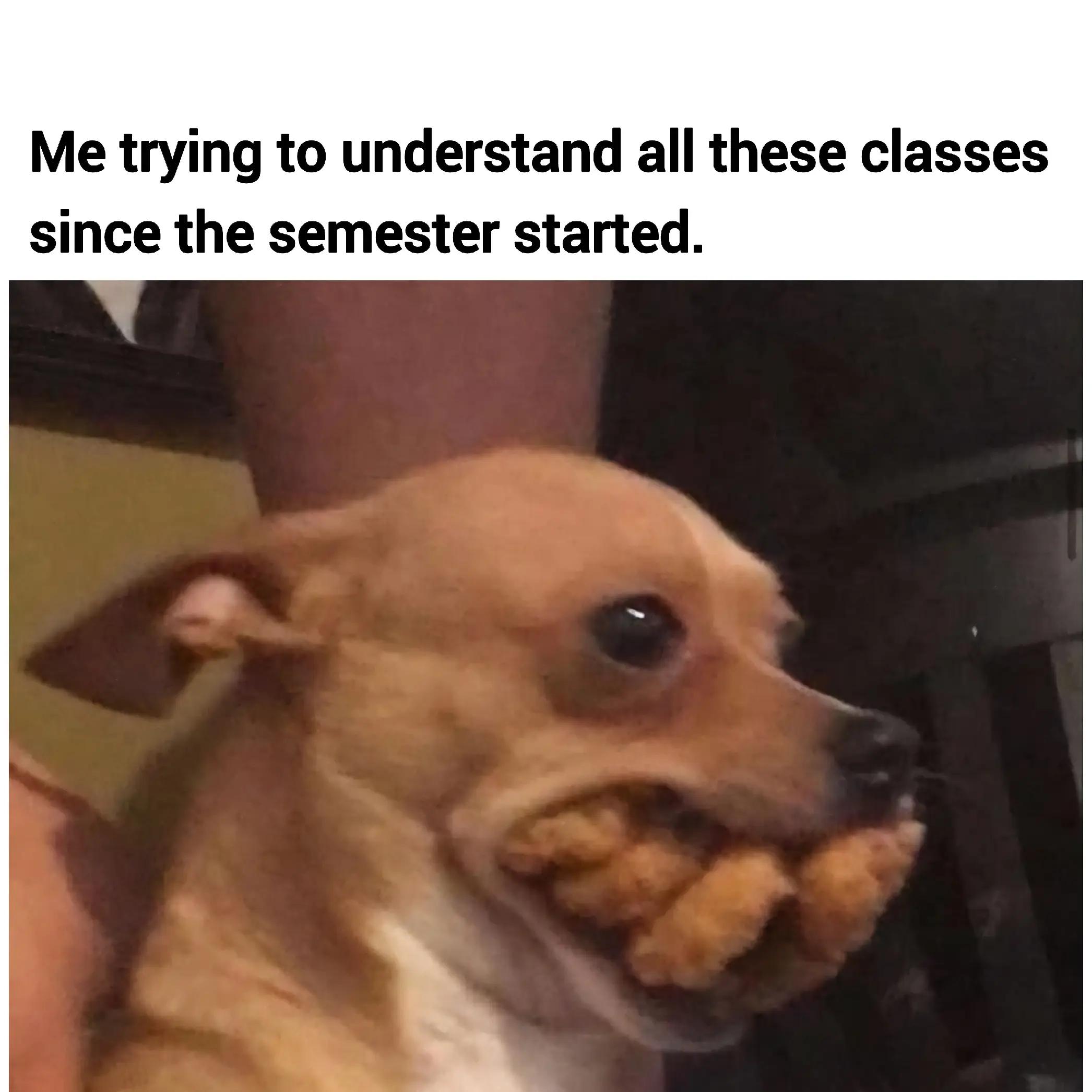 @Your College Helper