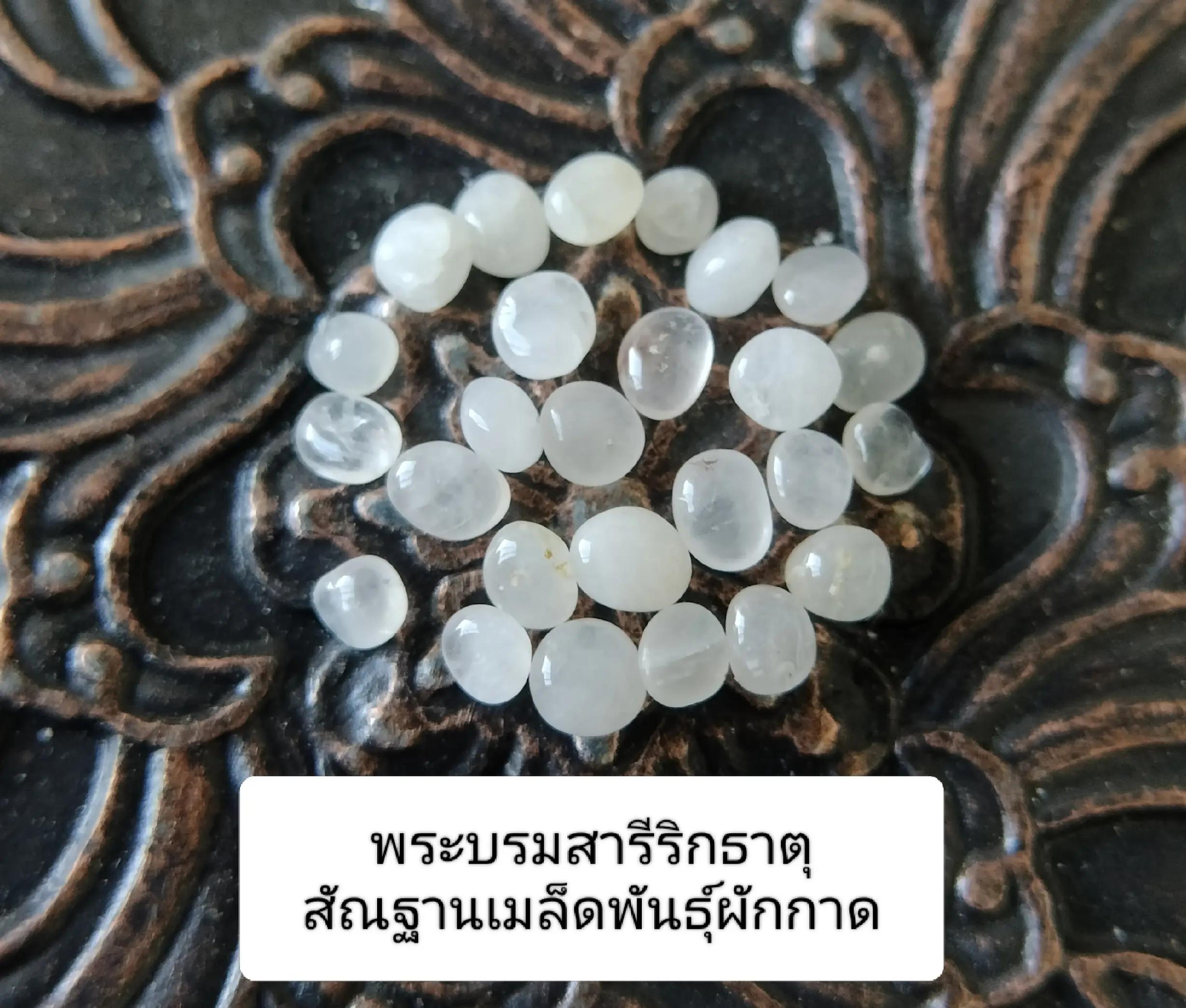 @ชมรมรักษ์พระบรมธาตุฯ
