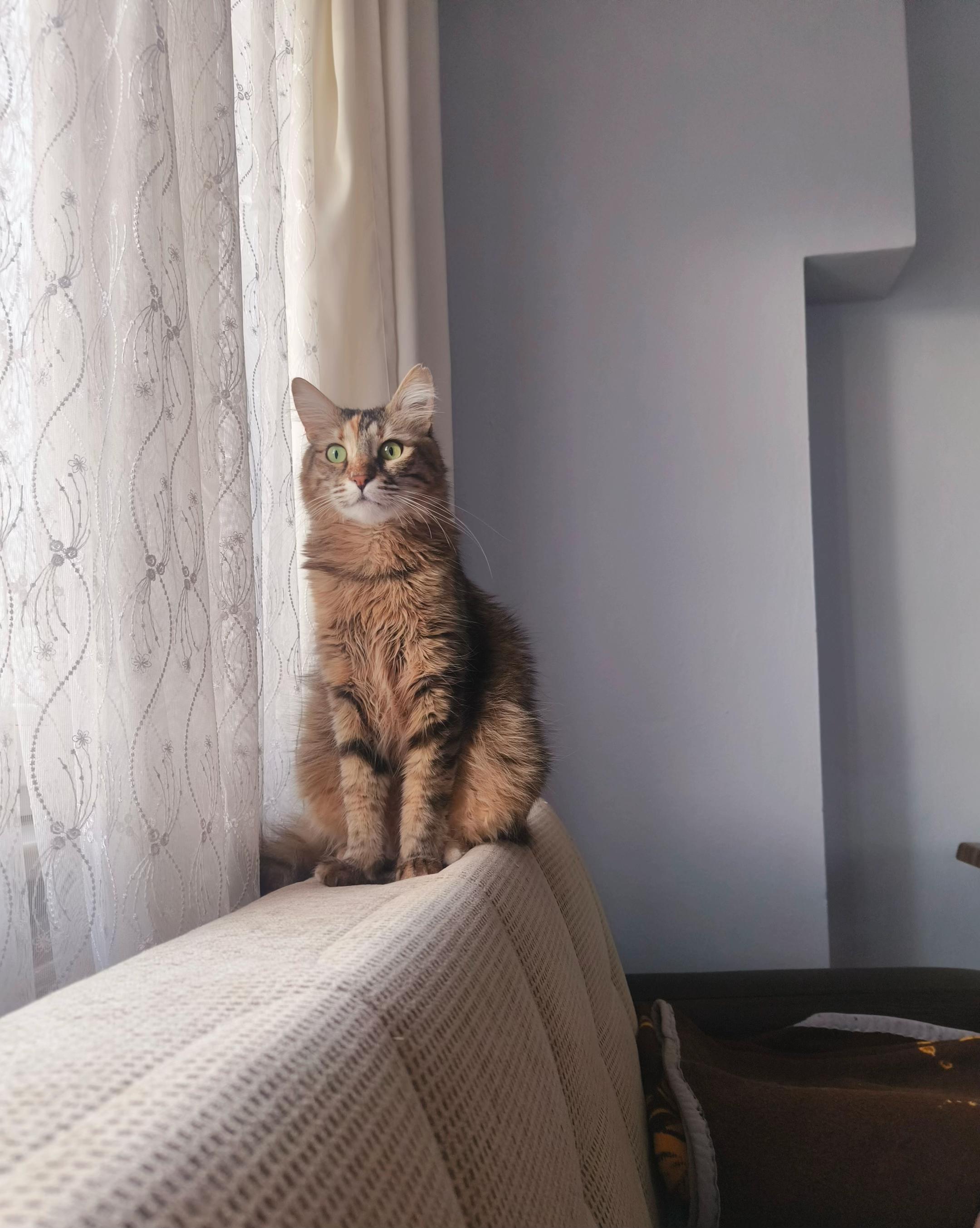 @nazlı sultan