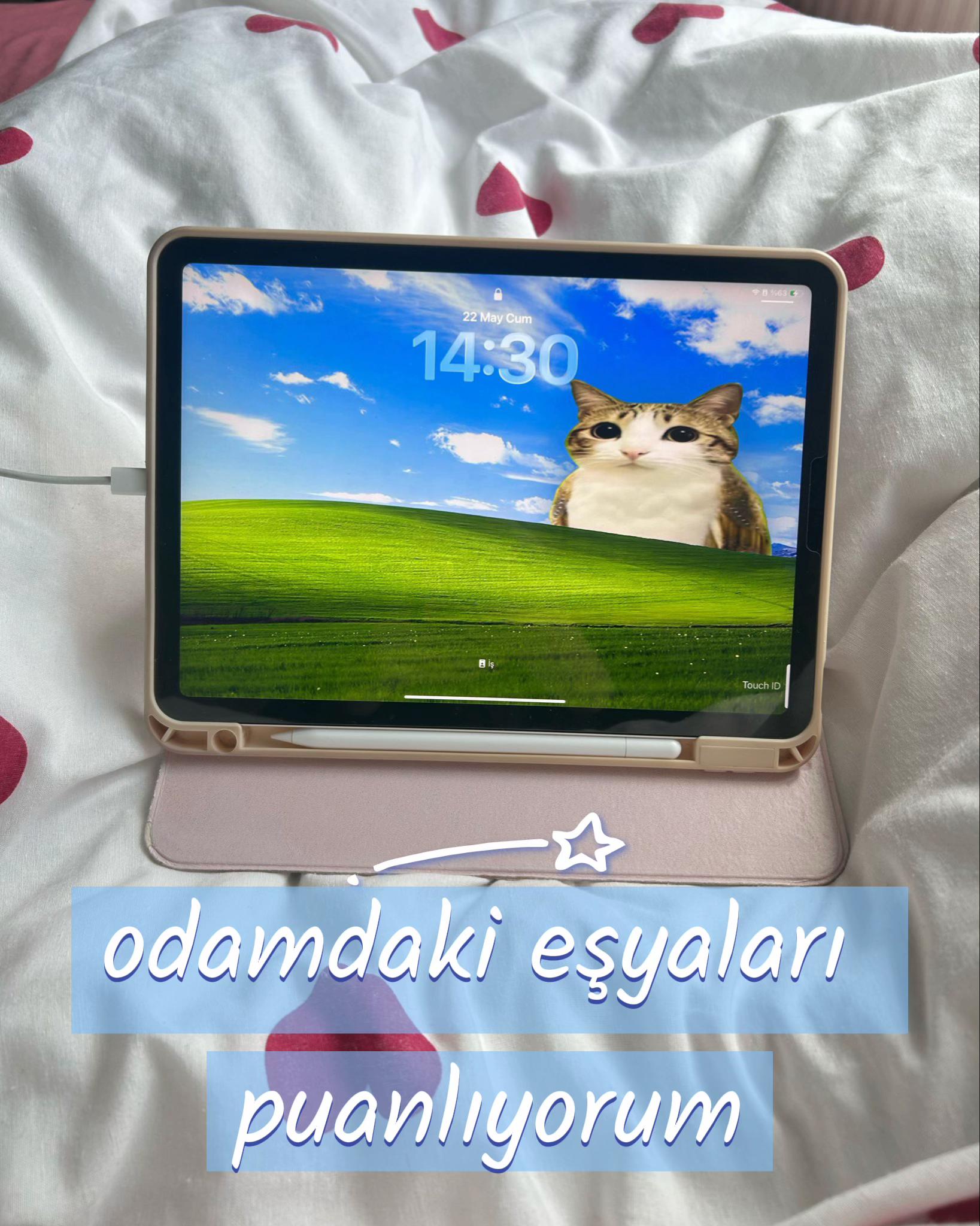 @eda ✩₊˚.⋆☾𓃠☽⋆⁺₊✧