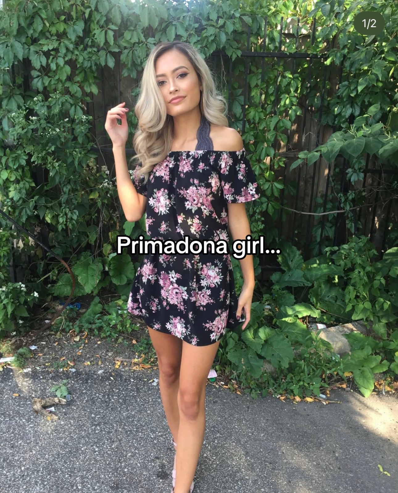 @mishelly