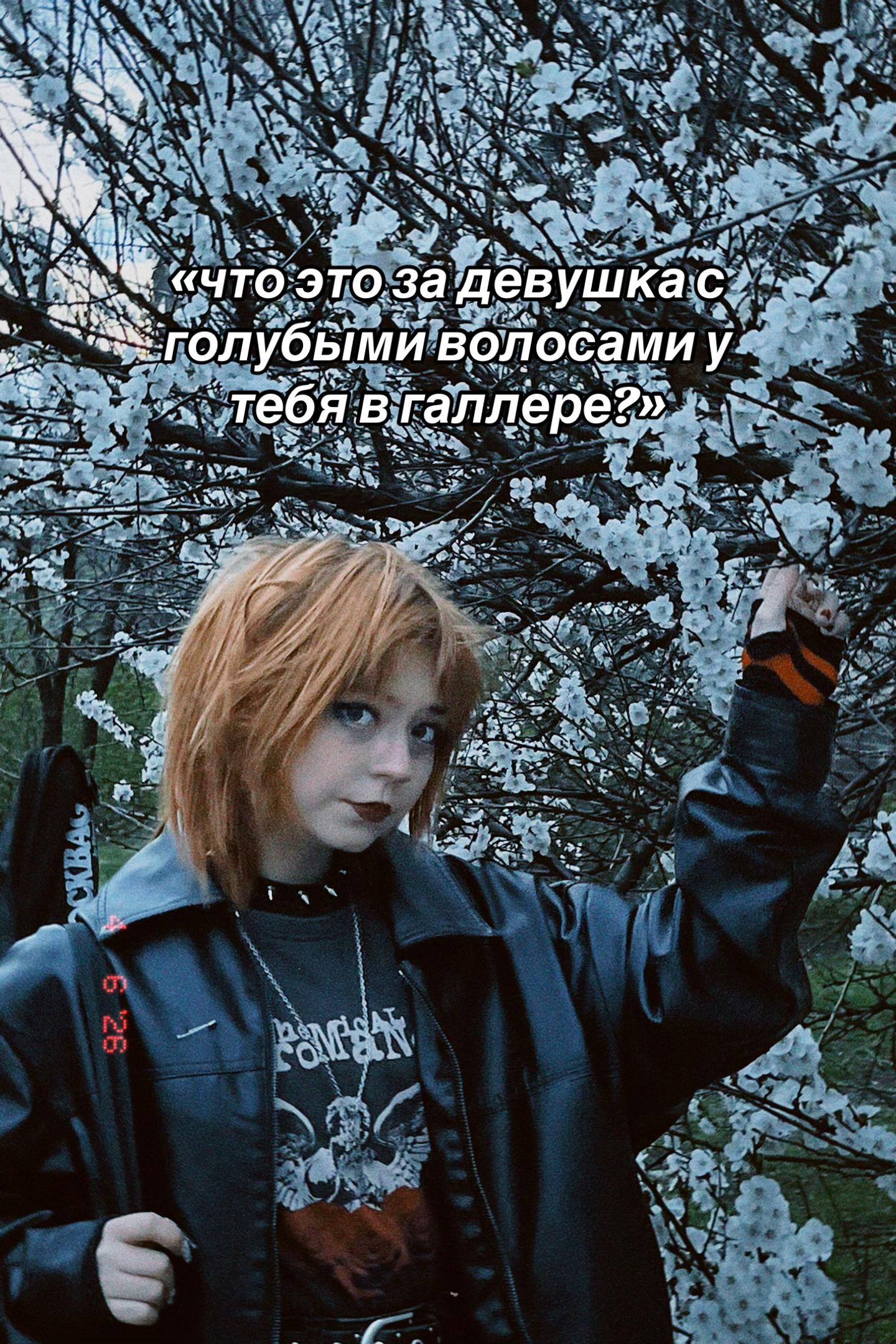 @&iexcl;!алиса тостер!&iexcl;