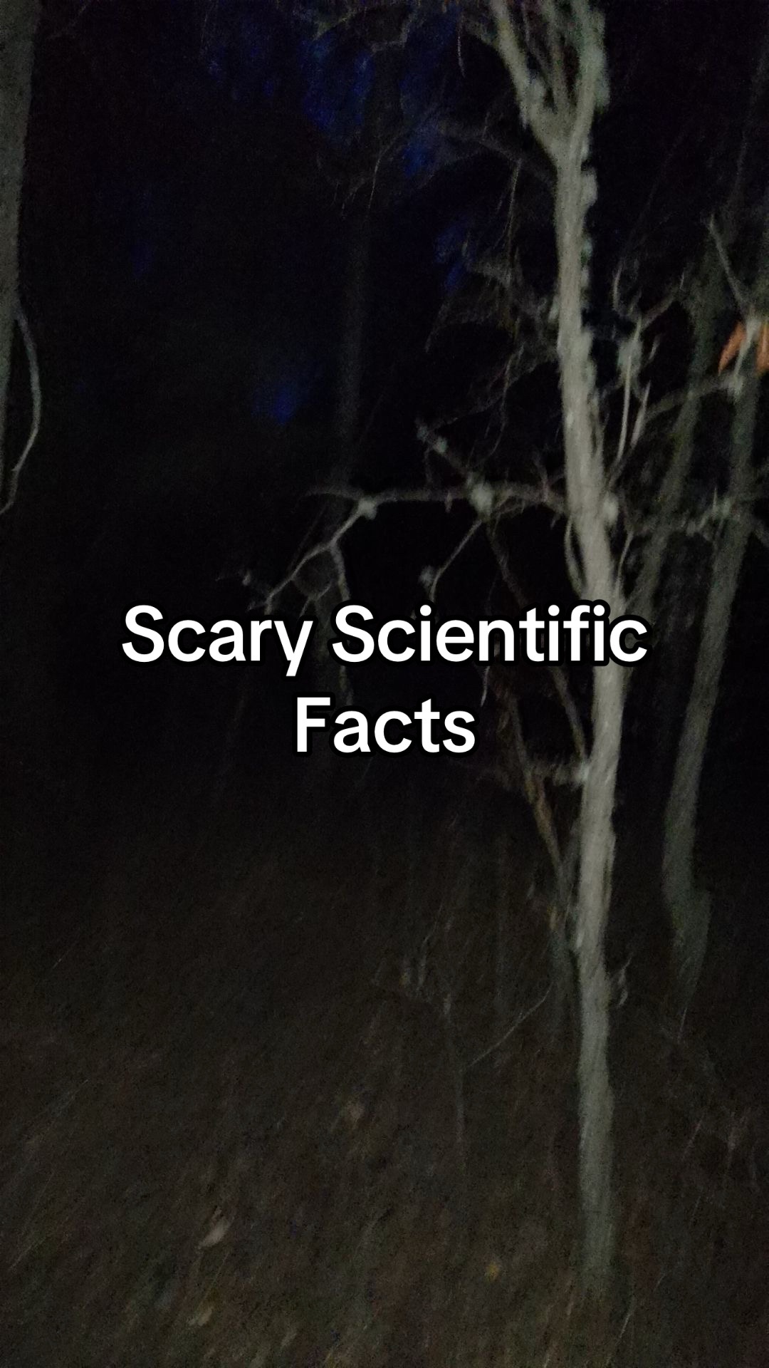 @Megan's Horror 🩶