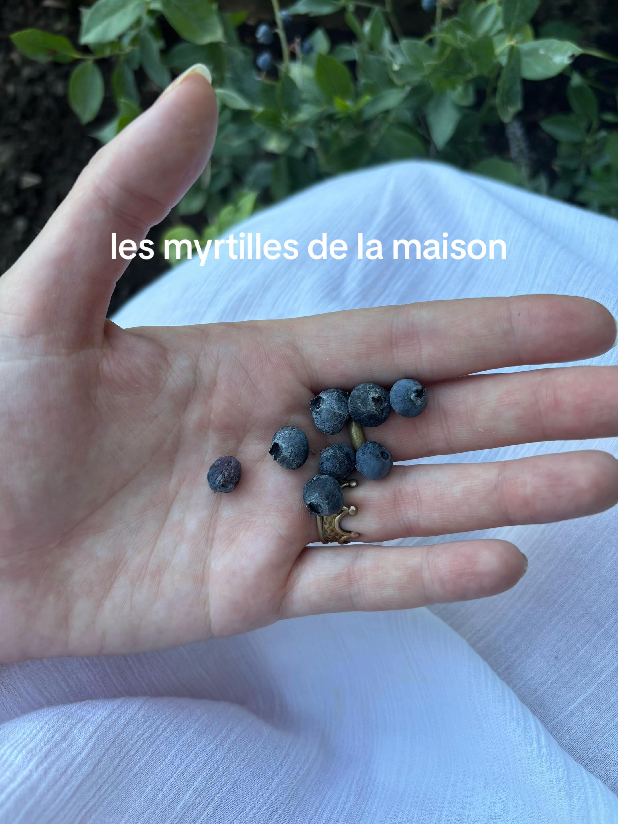 @justine-olympe