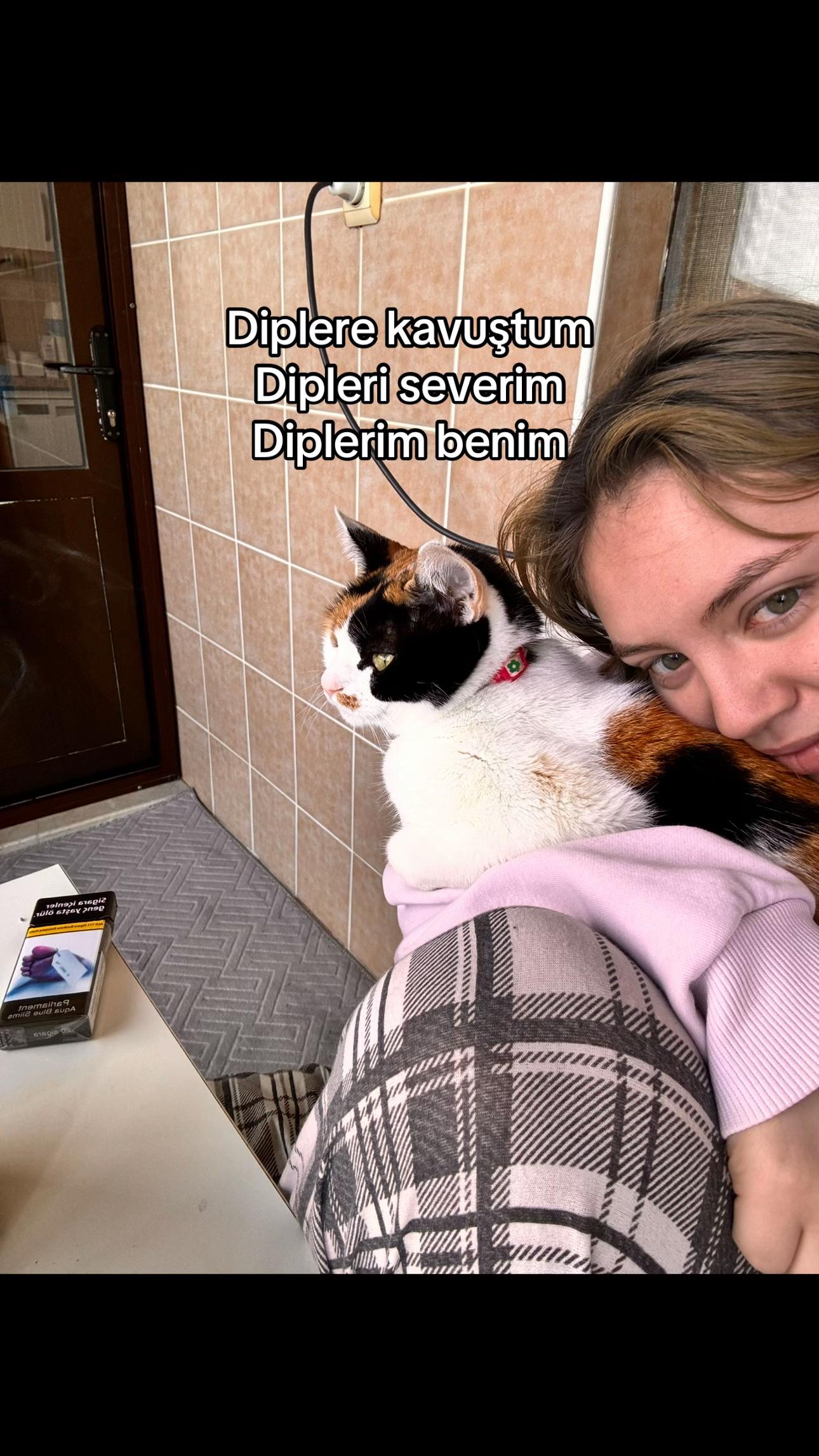 @🐅