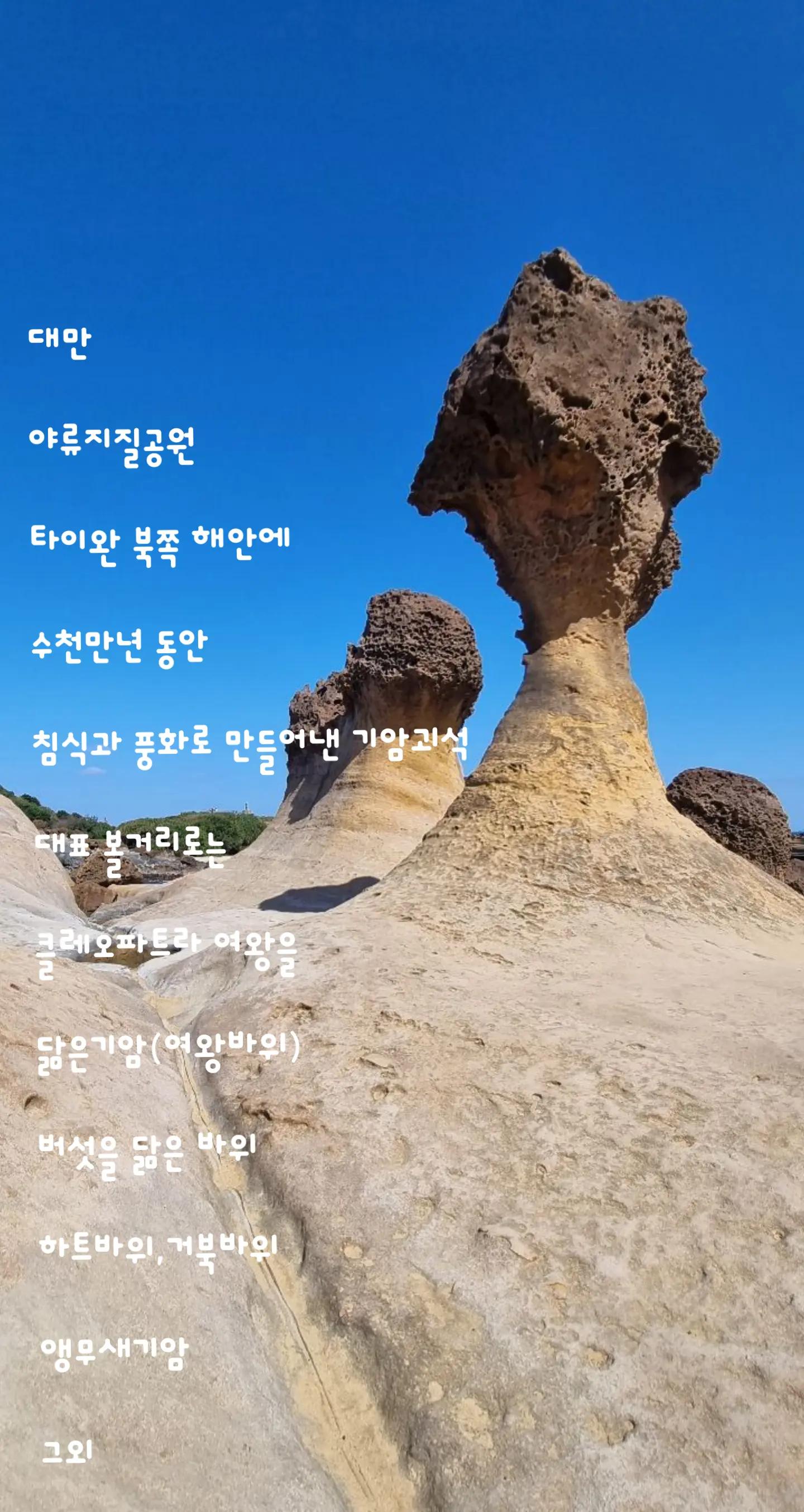@참파