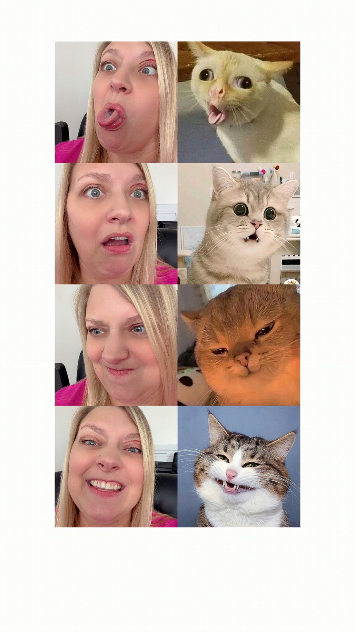 @bignikenergy