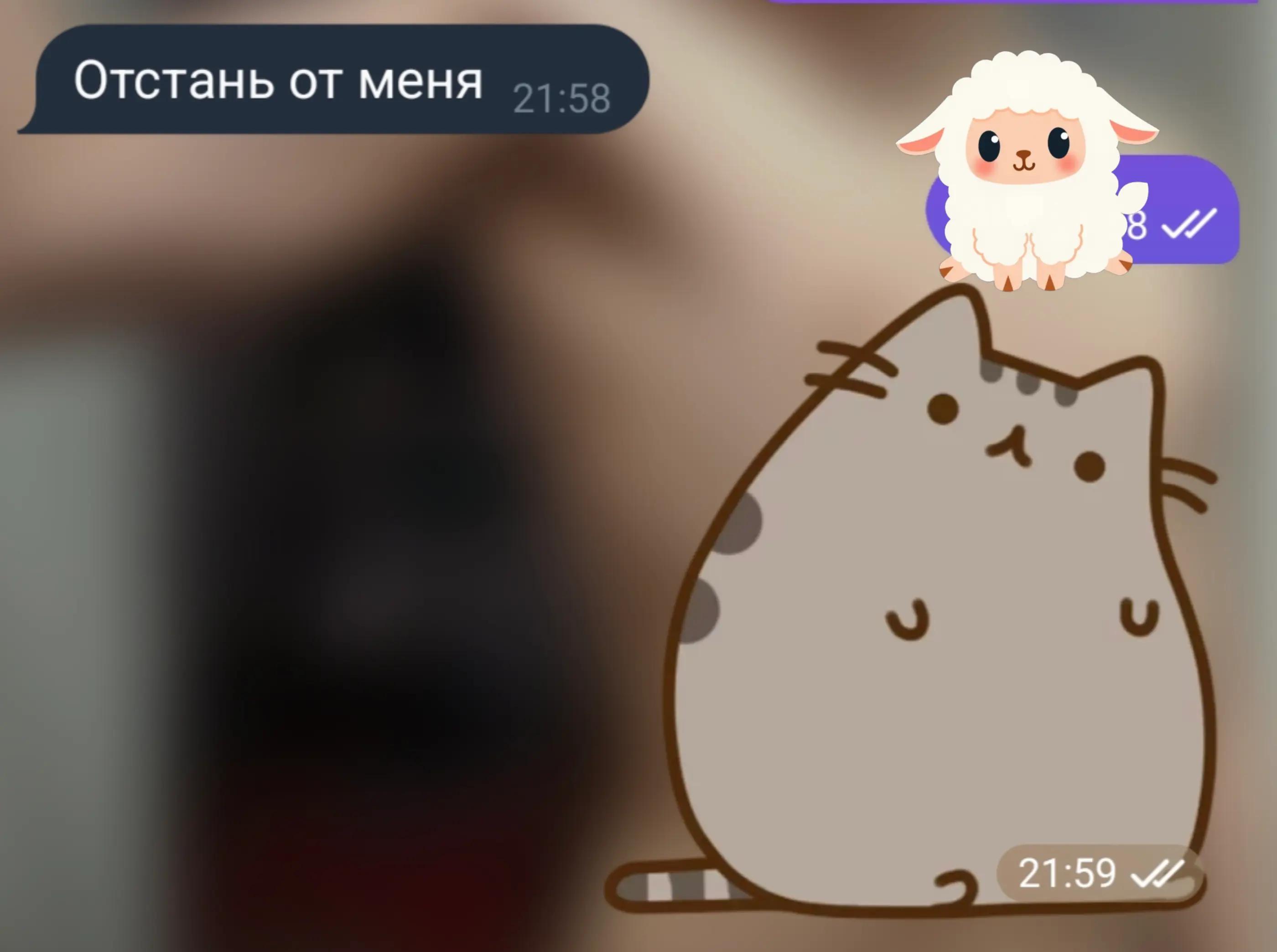 @englehvit