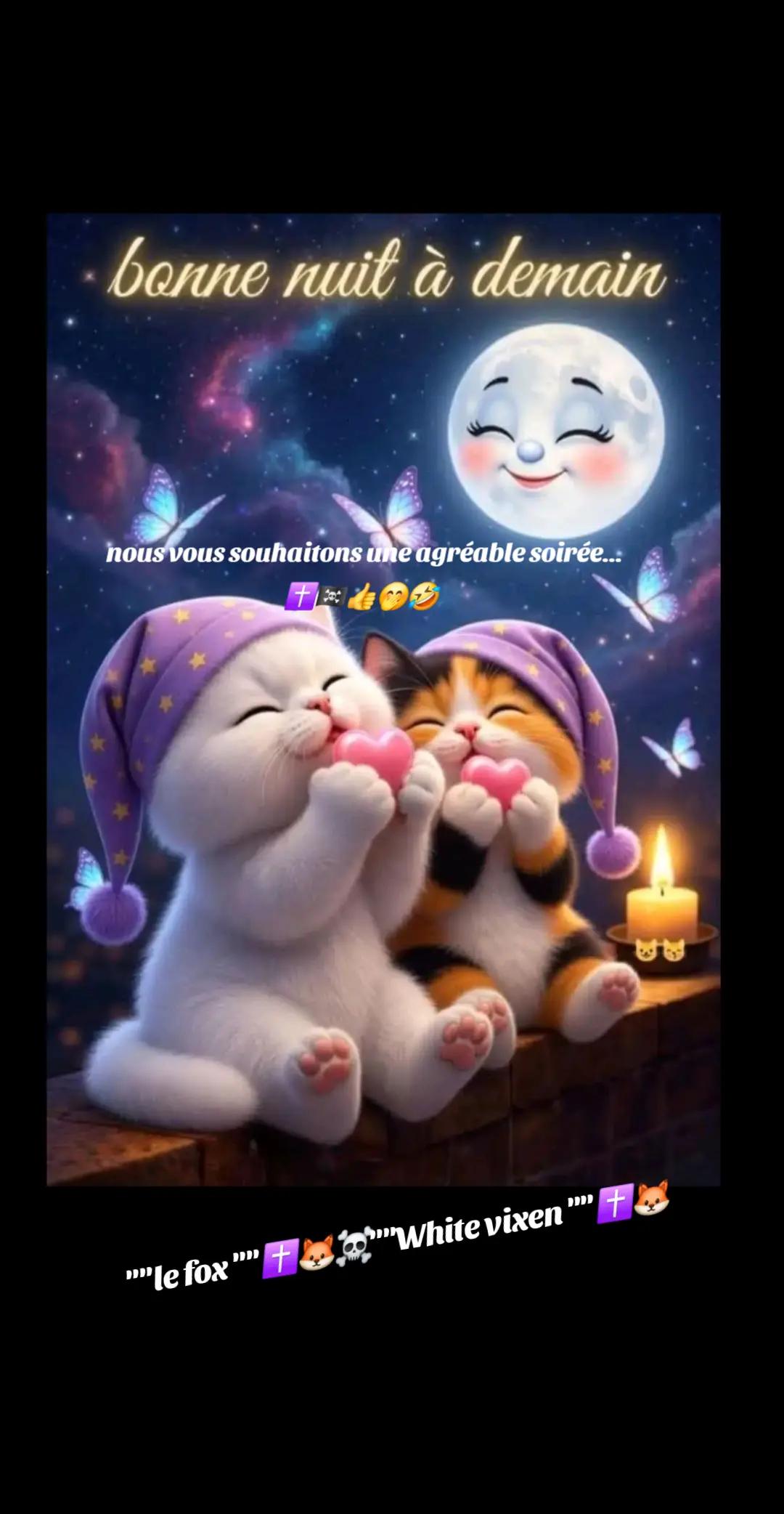@🇫🇷Le fox✝️🦊☠️white vixen✝️