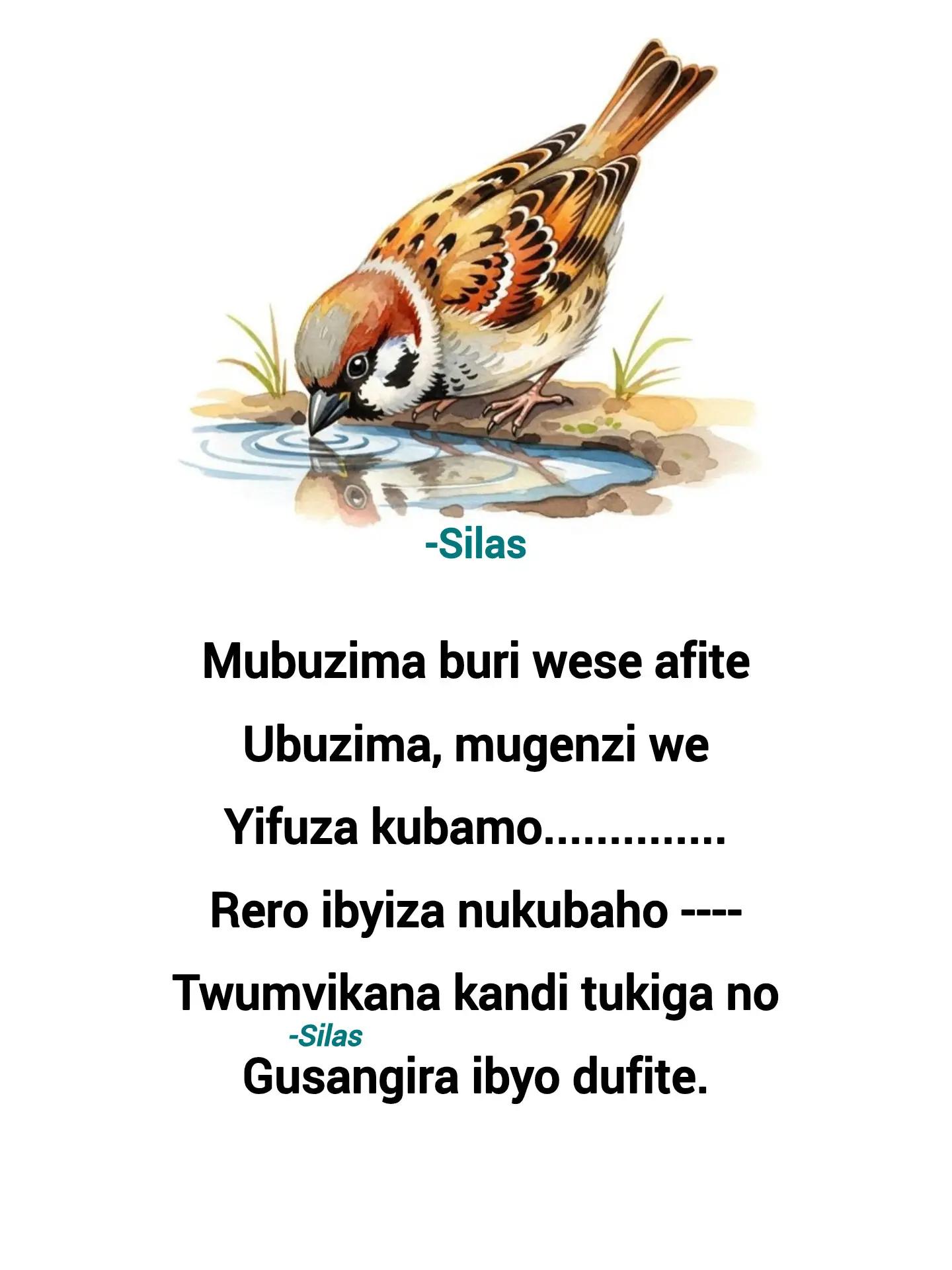 @Silas Quotes 🇷🇼