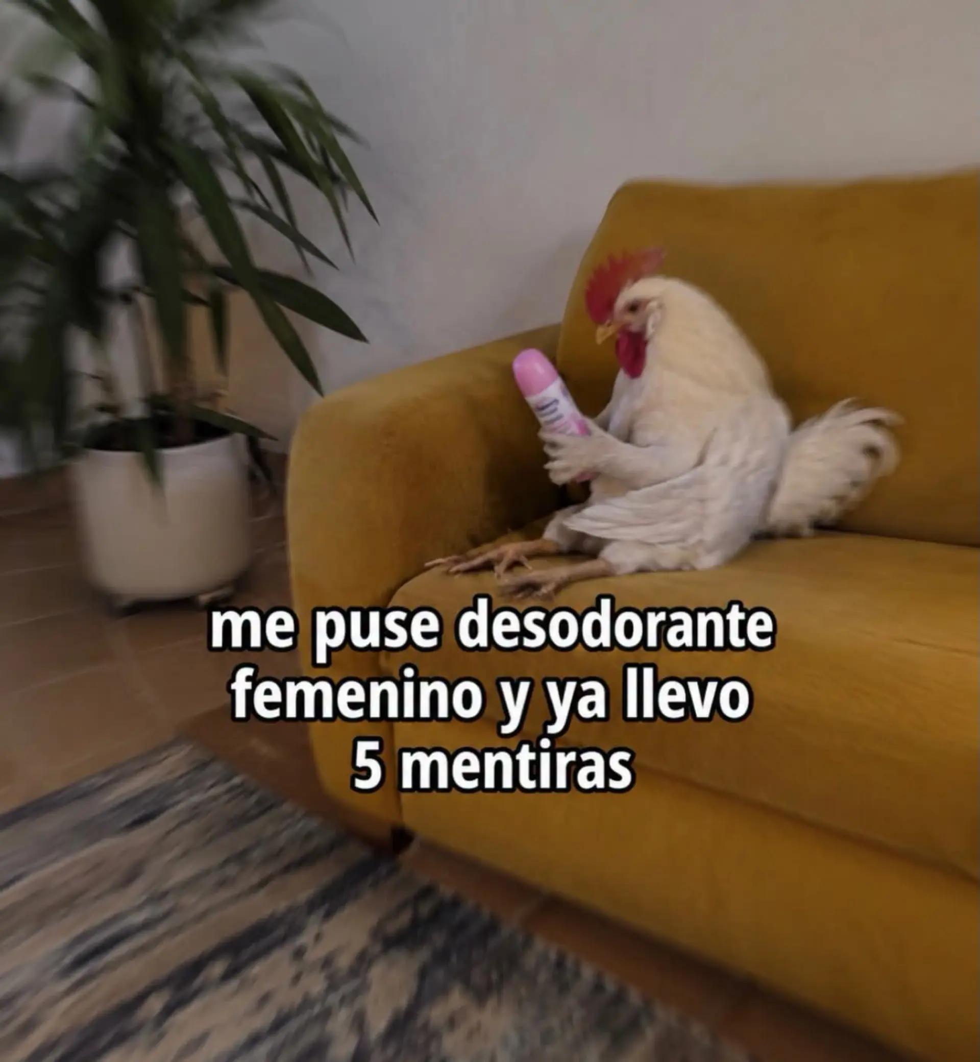 @Mooon