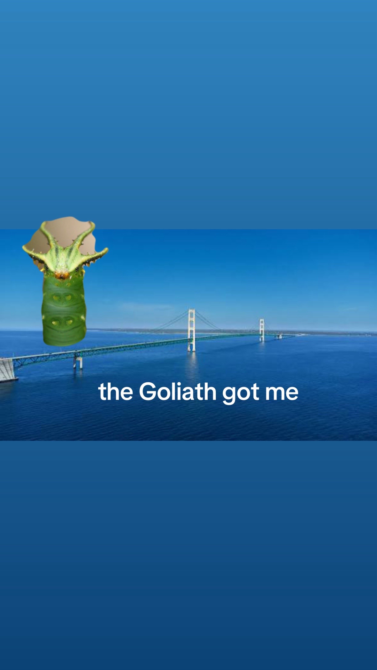 @ᐹᐡᑭᐠᐘᒼᐠᐍ/ девора