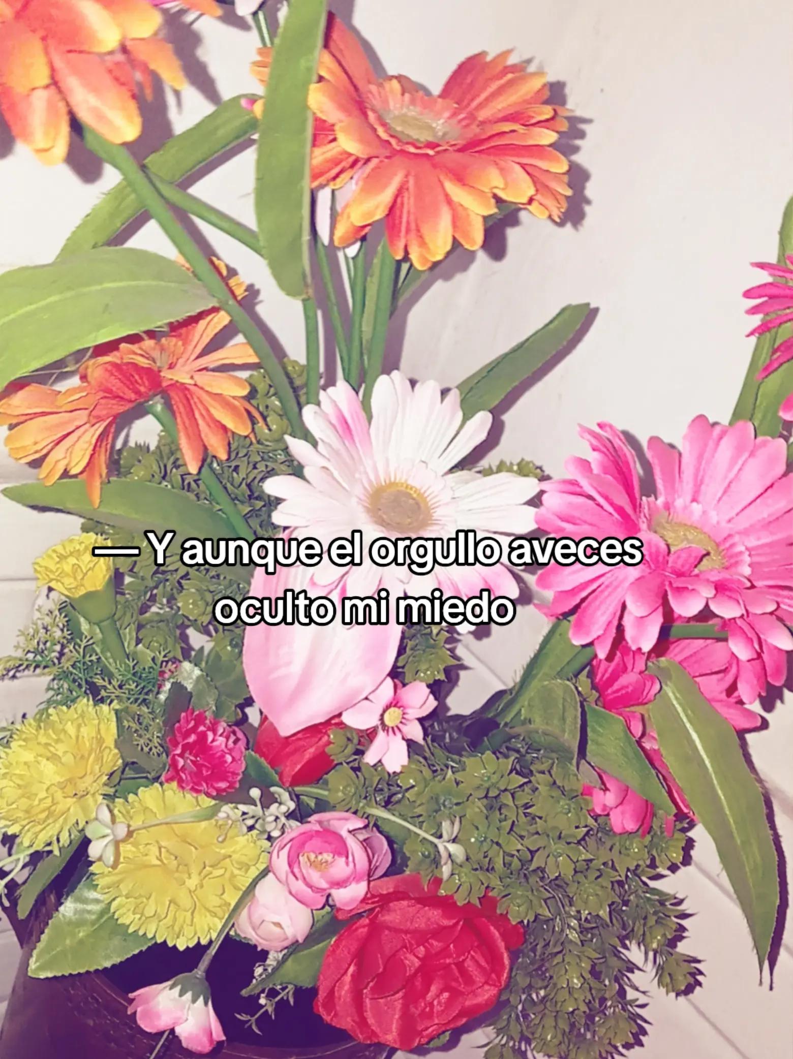 @𝐑𝐞𝐢𝐜𝐡𝐞𝐥𝐥