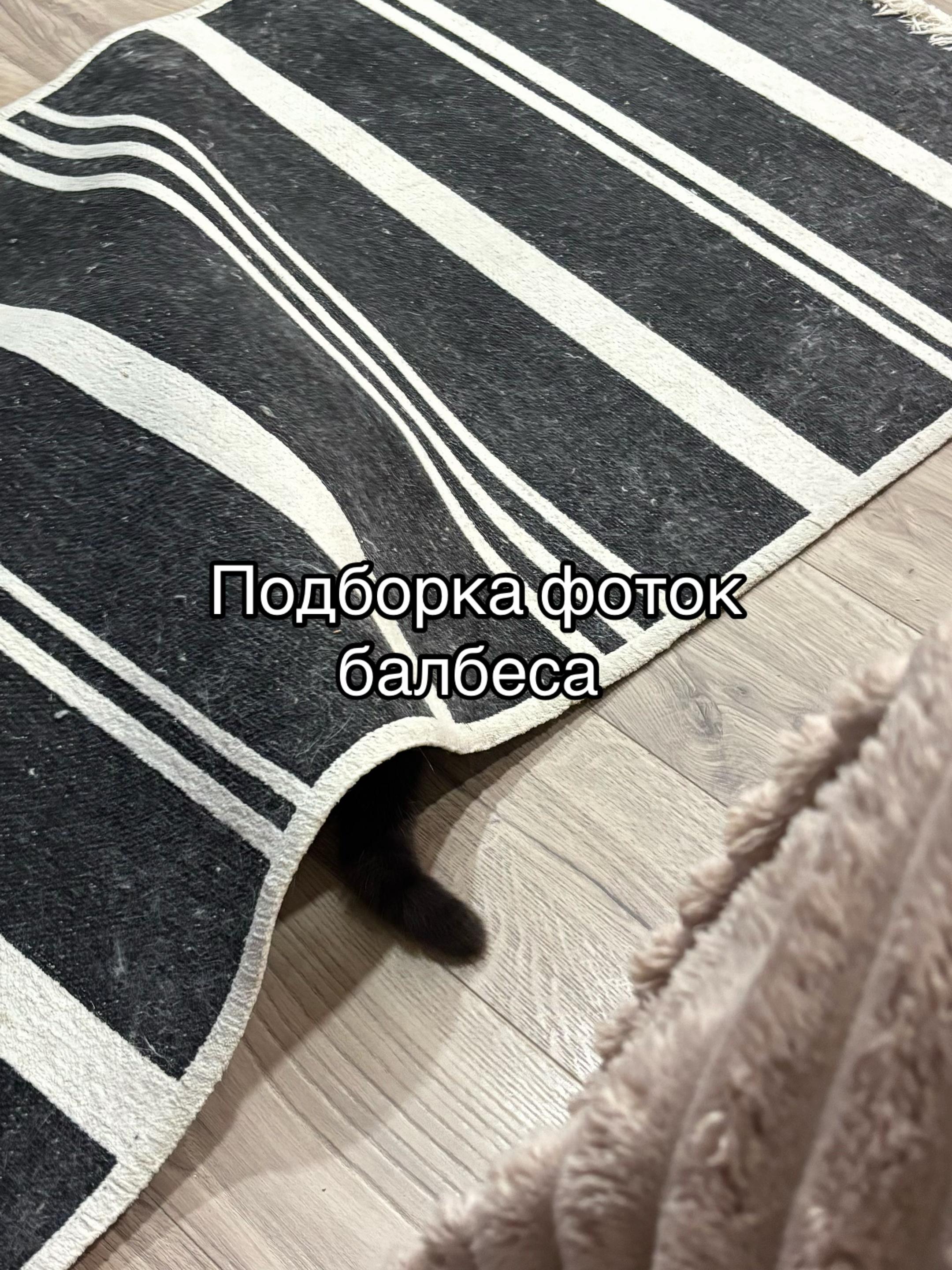 @Pashtet.com