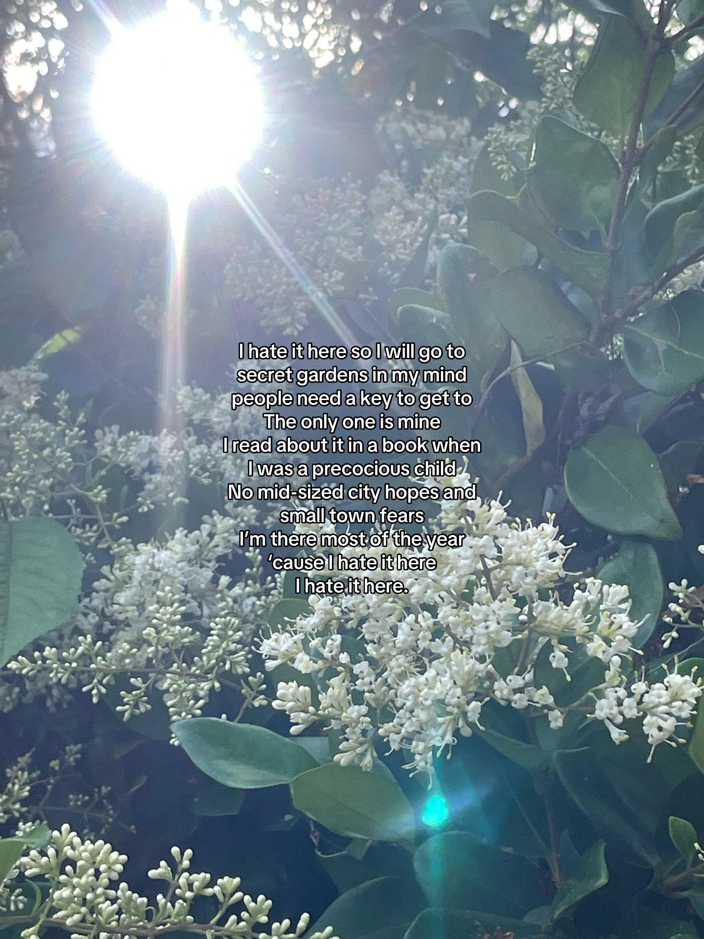 @stargazer