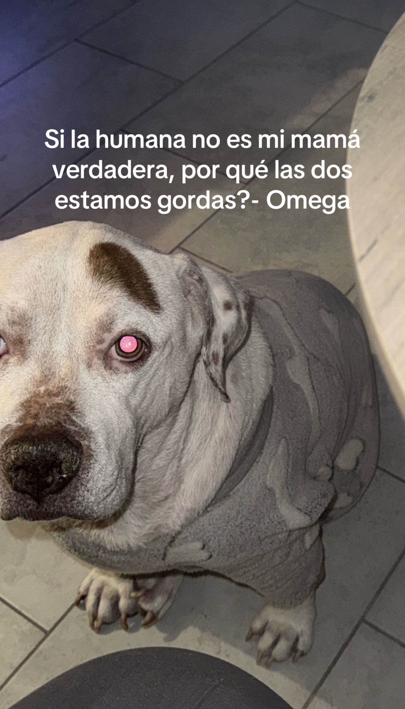 @Curvaspeligrosas33