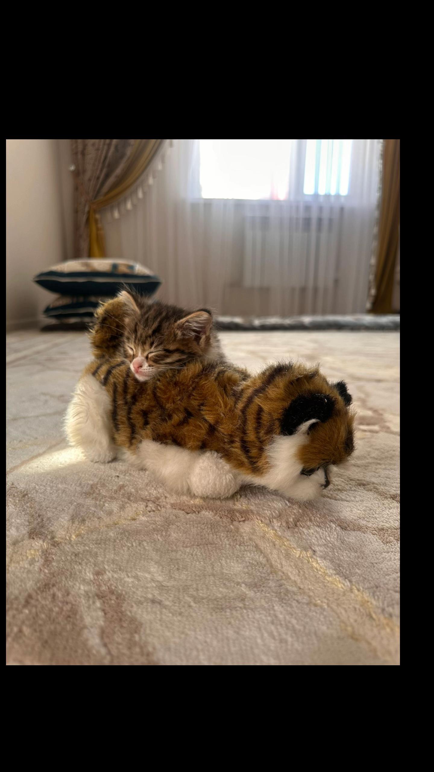 @Лаззат Мухиддинова