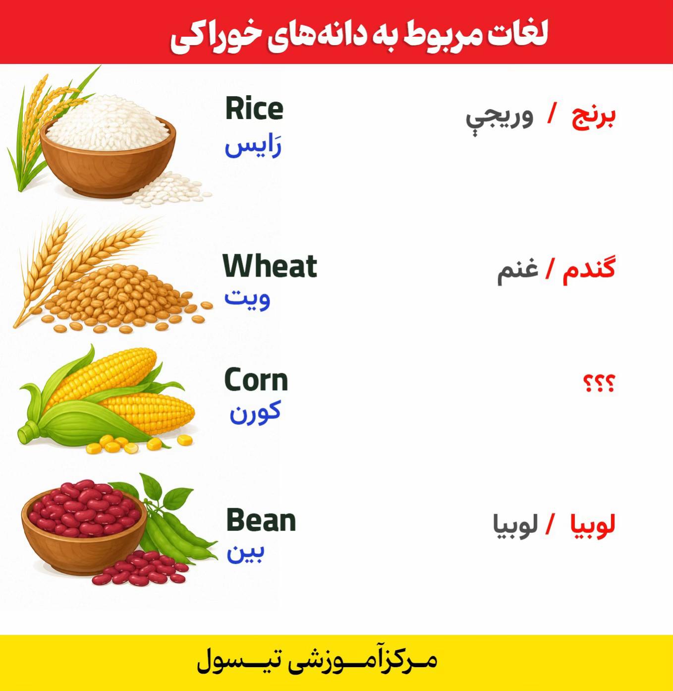 @مرکز آموزشی تیسول _ T T C