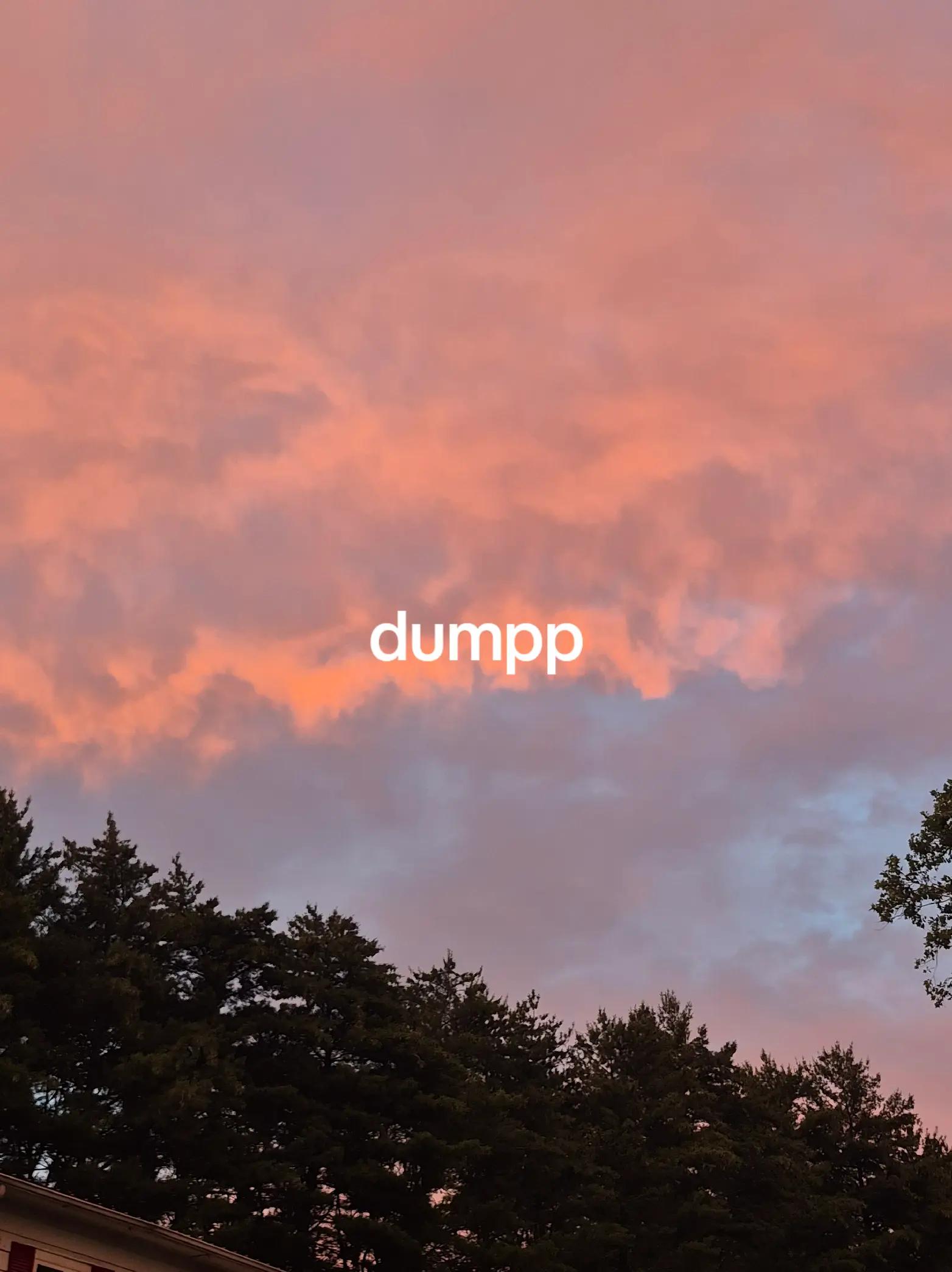 @🦆🌾𝓓𝓪𝓶𝓸𝓷🌾🦆