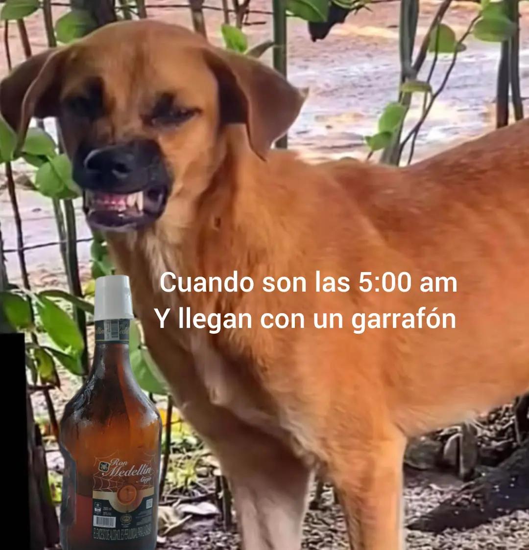 @Cristian Acuña Velas