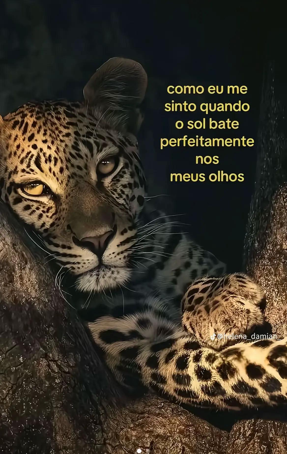 @sarajeniferk