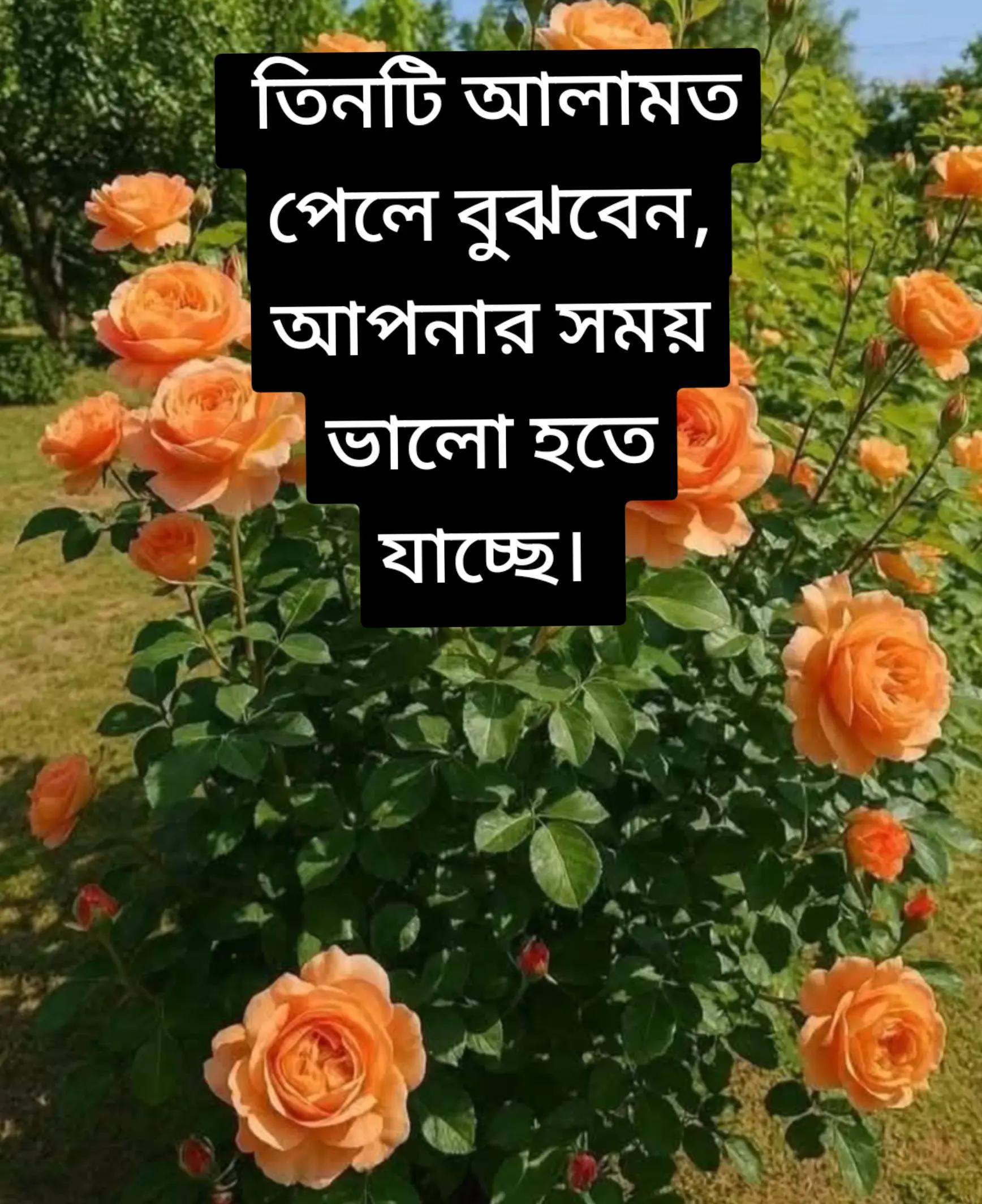 @Ahmed Sulaiman Sayeef