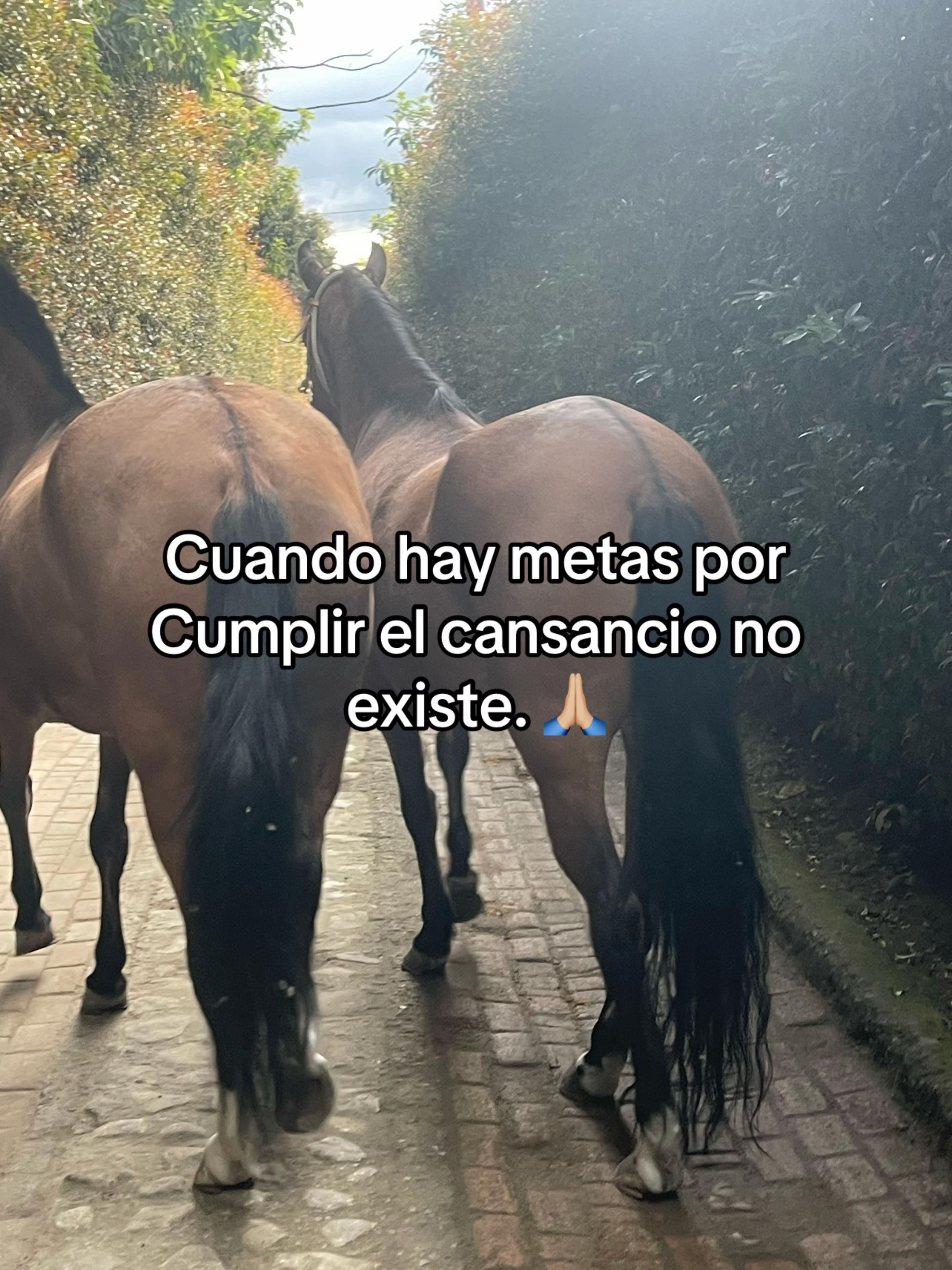 @Juan Rodríguez 🐄